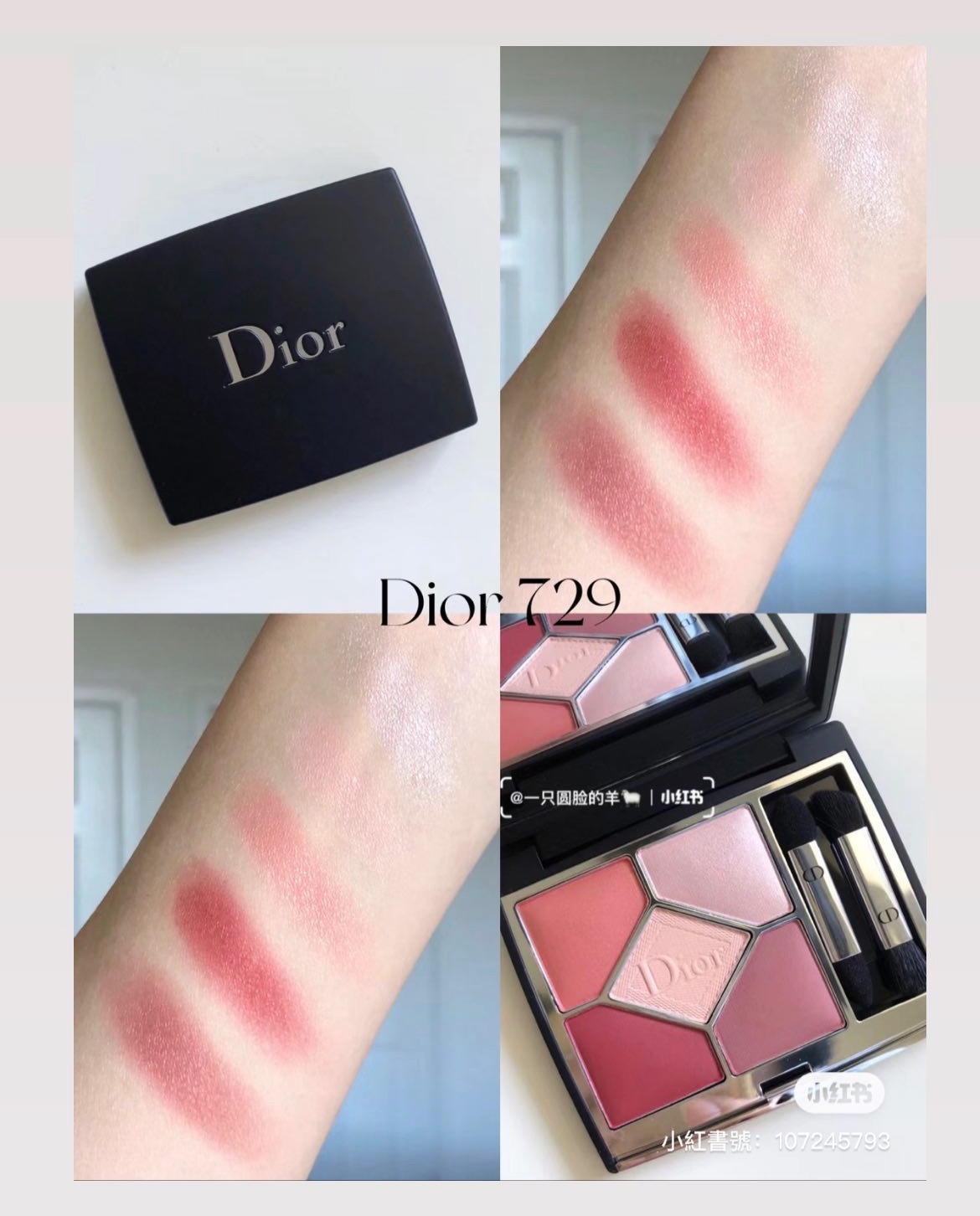 DIOR霧面限量眼影盤729PINK