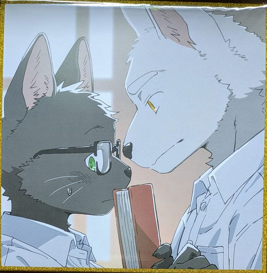 湯麵小說《我們之間距離275頁》限量色紙