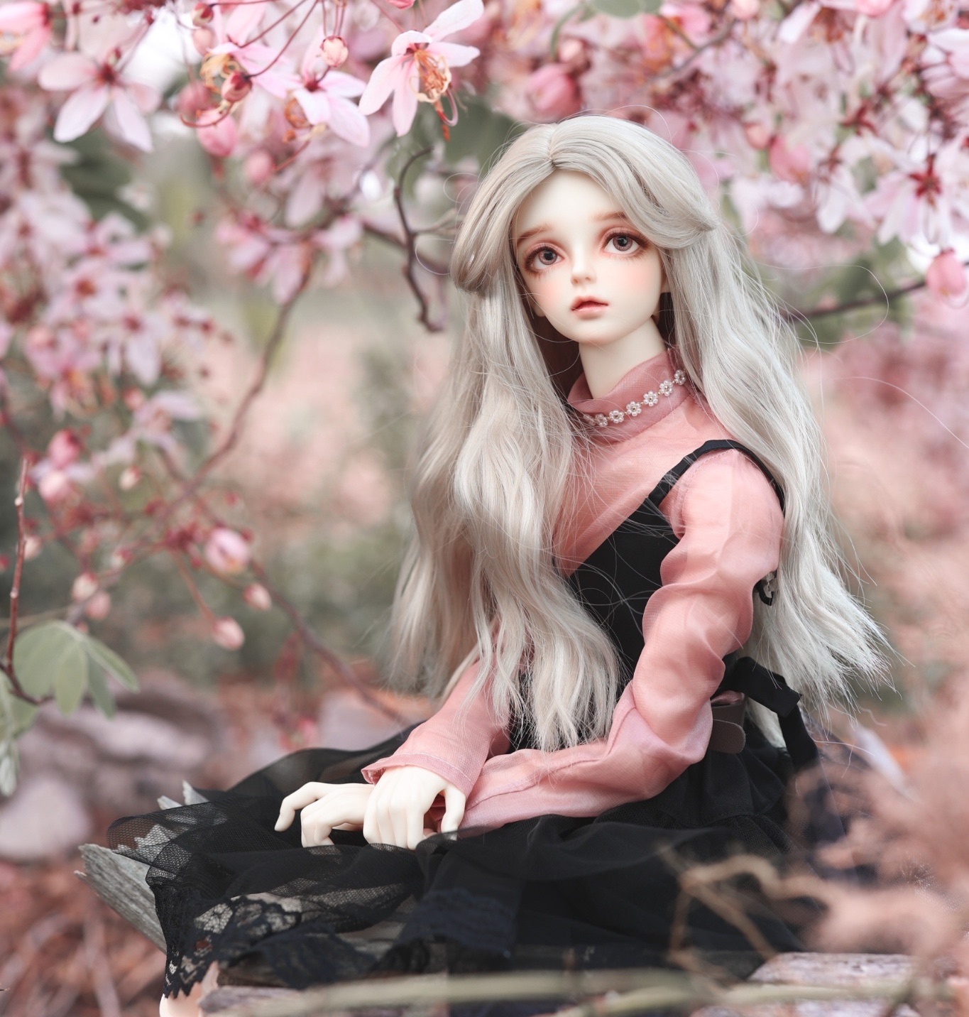 FOVEO假髮-Asian（L）