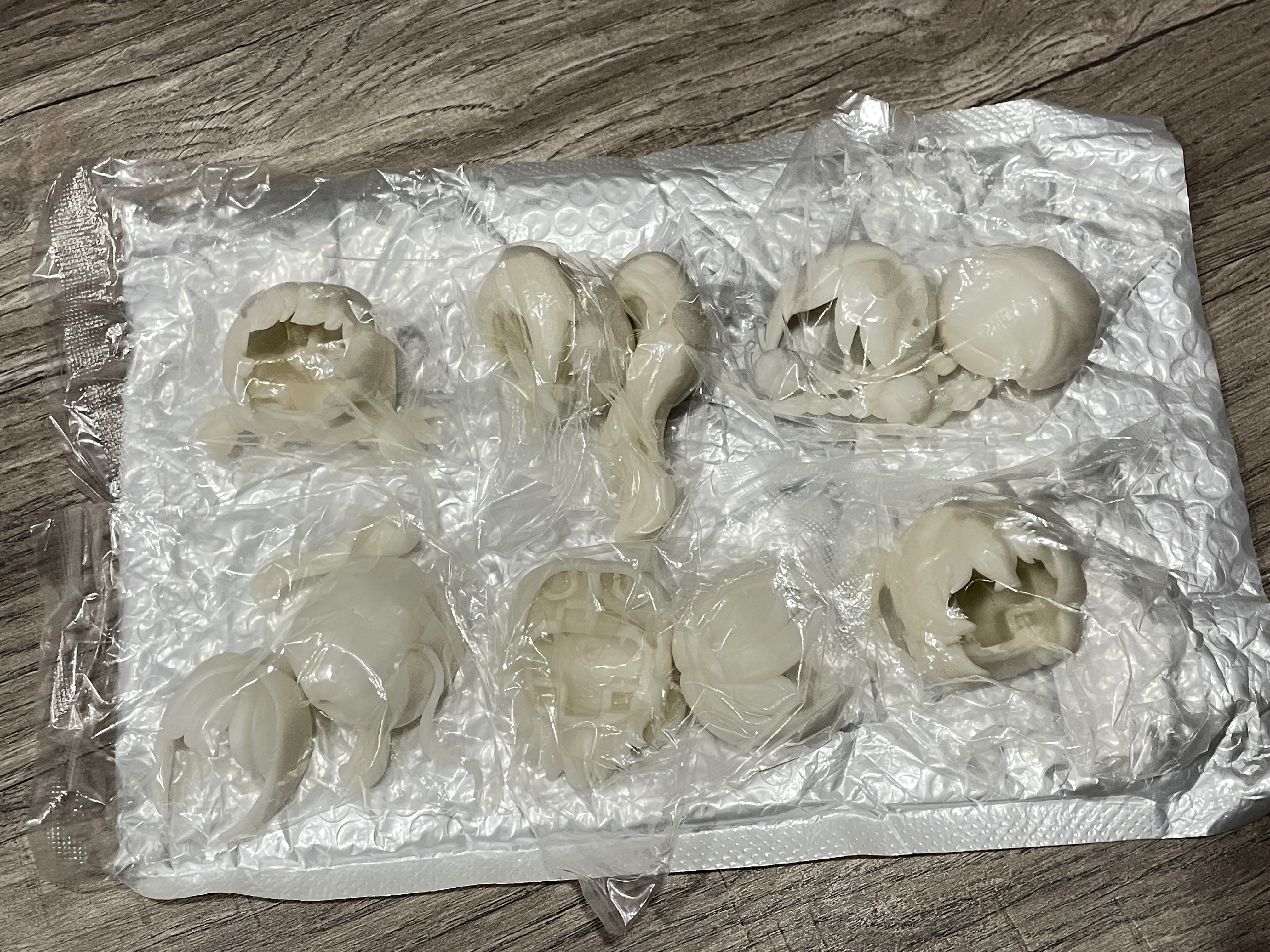 自有主張 電子萌寵白膜頭（全套6入）