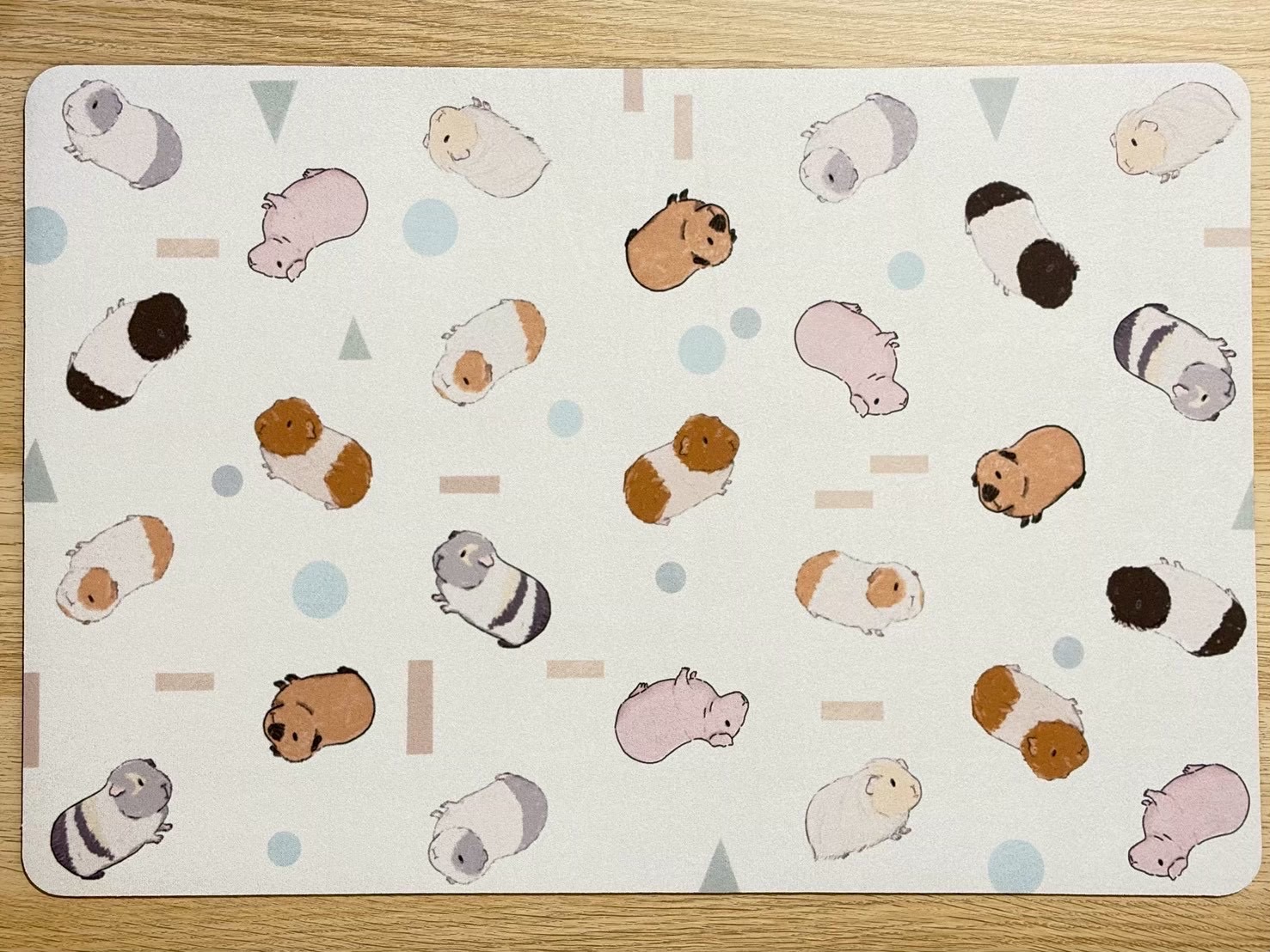 天竺鼠花色 的 珪藻土多用途軟墊