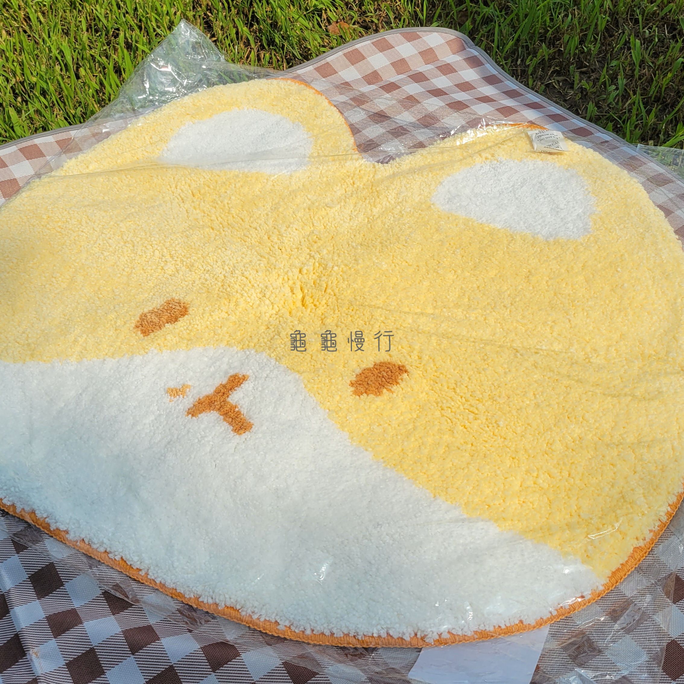 🐢Teolaegi by BH 特來騎 快閃周邊-地墊🐢