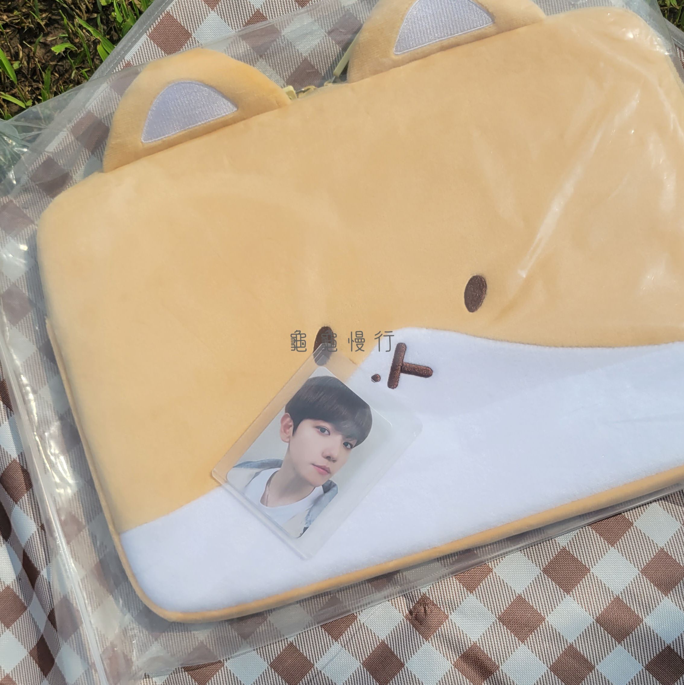 🐢Teolaegi by BH 特來騎 快閃周邊-電腦包小卡組🐢