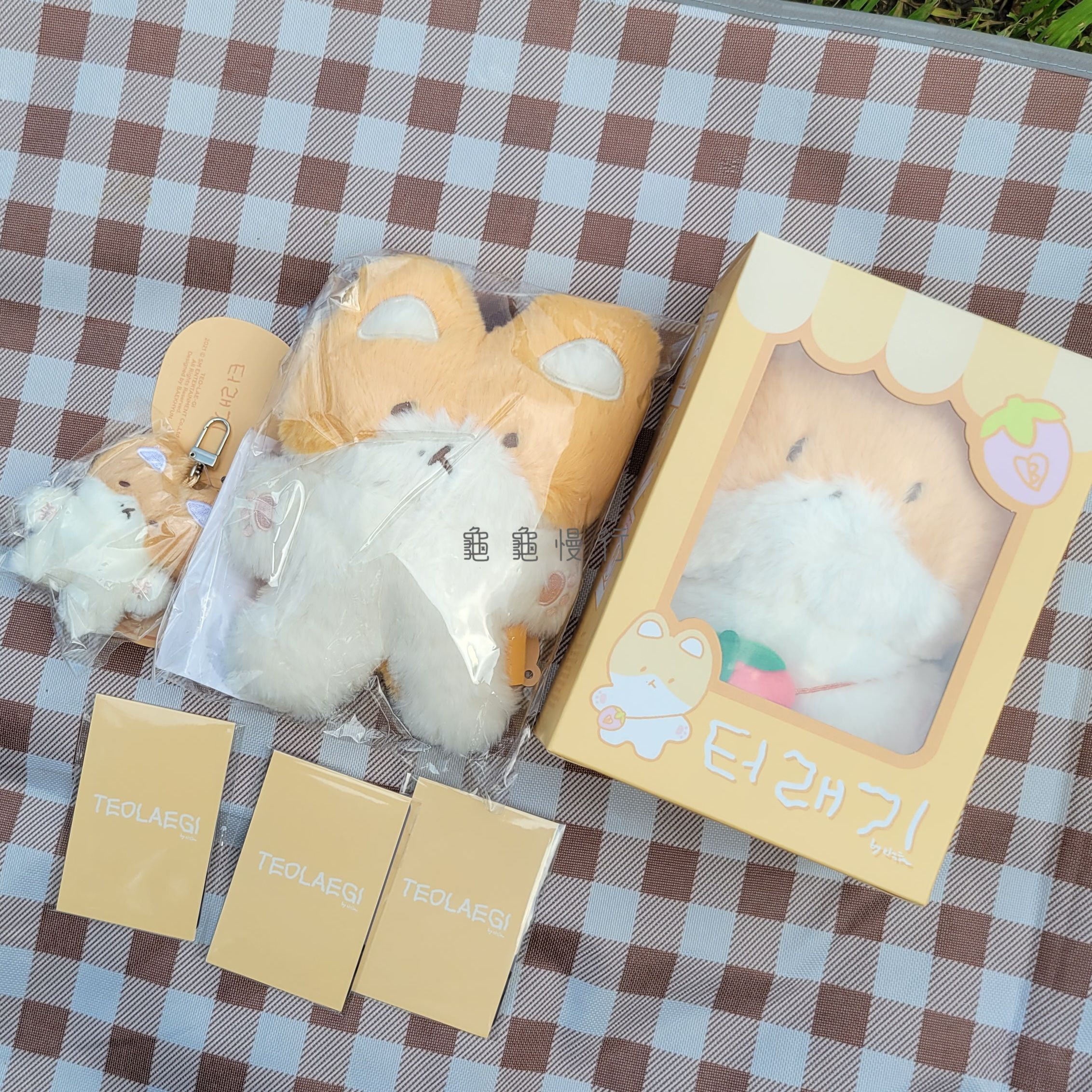 🐢Teolaegi by BH 特來騎 快閃周邊-特來騎娃娃小卡組🐢