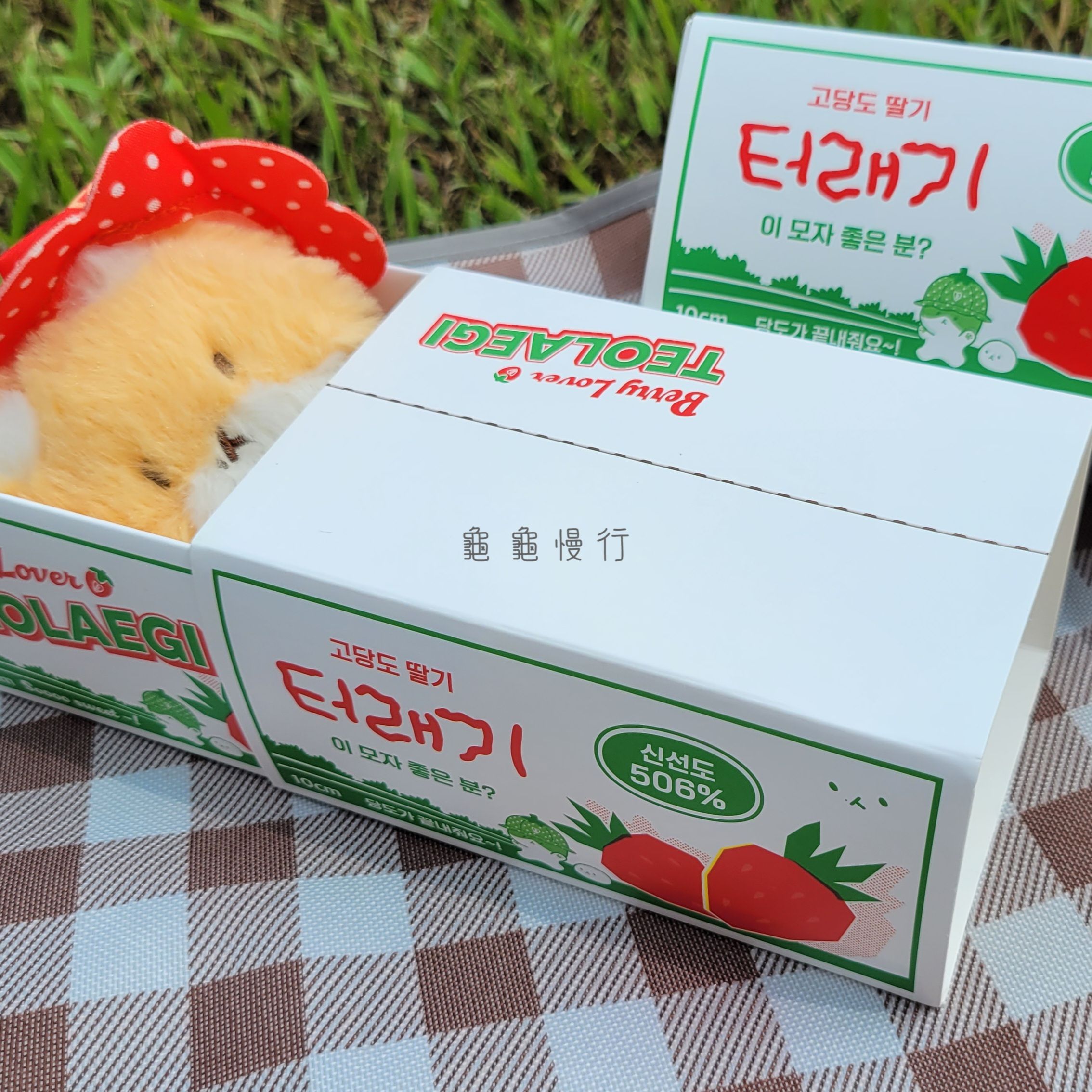 🐢Teolaegi by BH 特來騎 快閃周邊-草莓特來騎🐢