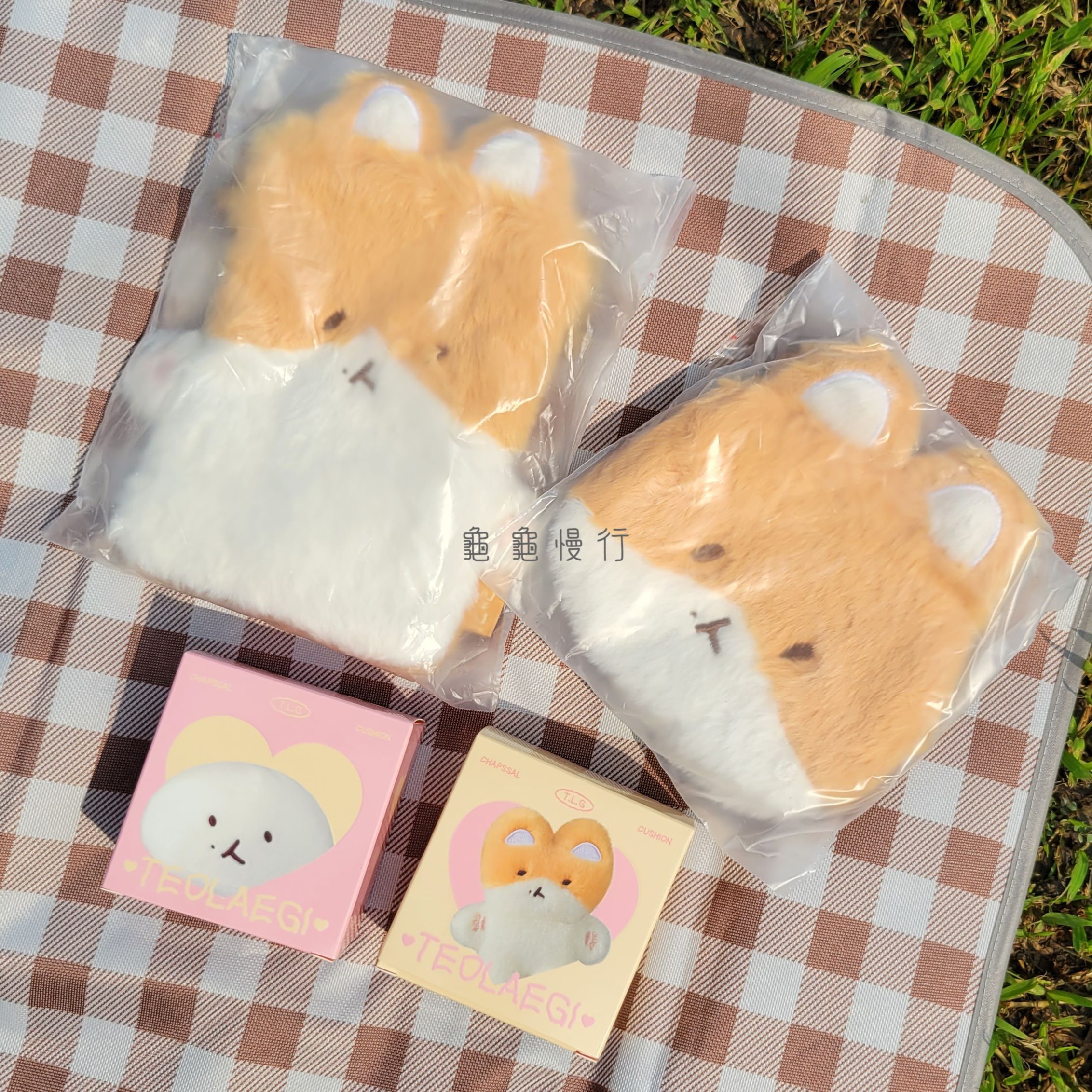 🐢TEOLAEGI X AMOREPACIFIC-氣墊粉餅🐢