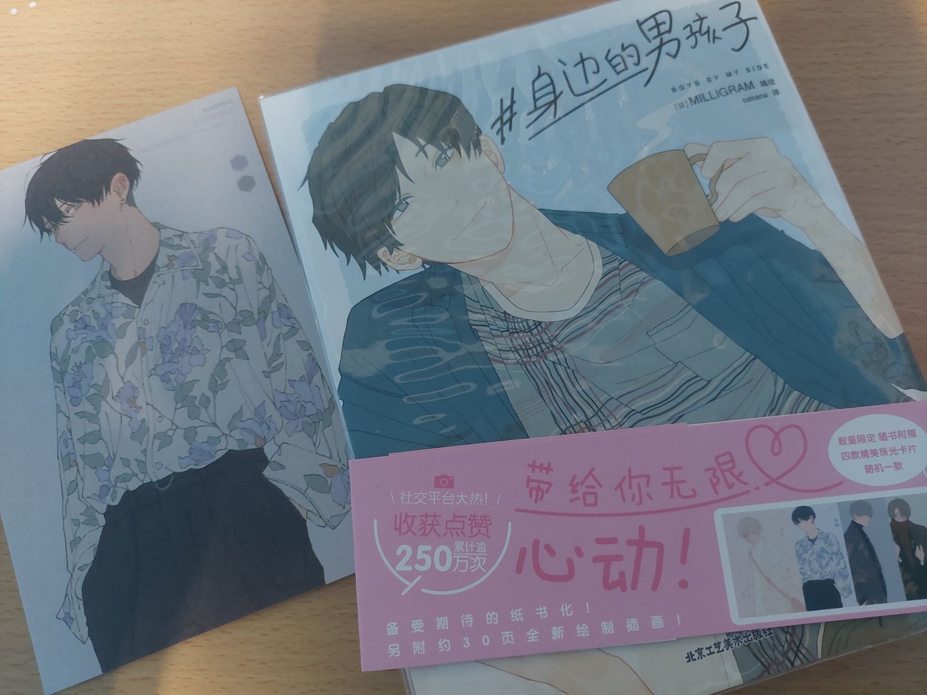 【其他二手書】畫冊/漫畫/小說/工具書 ◆詳細請點商品描述 ◆