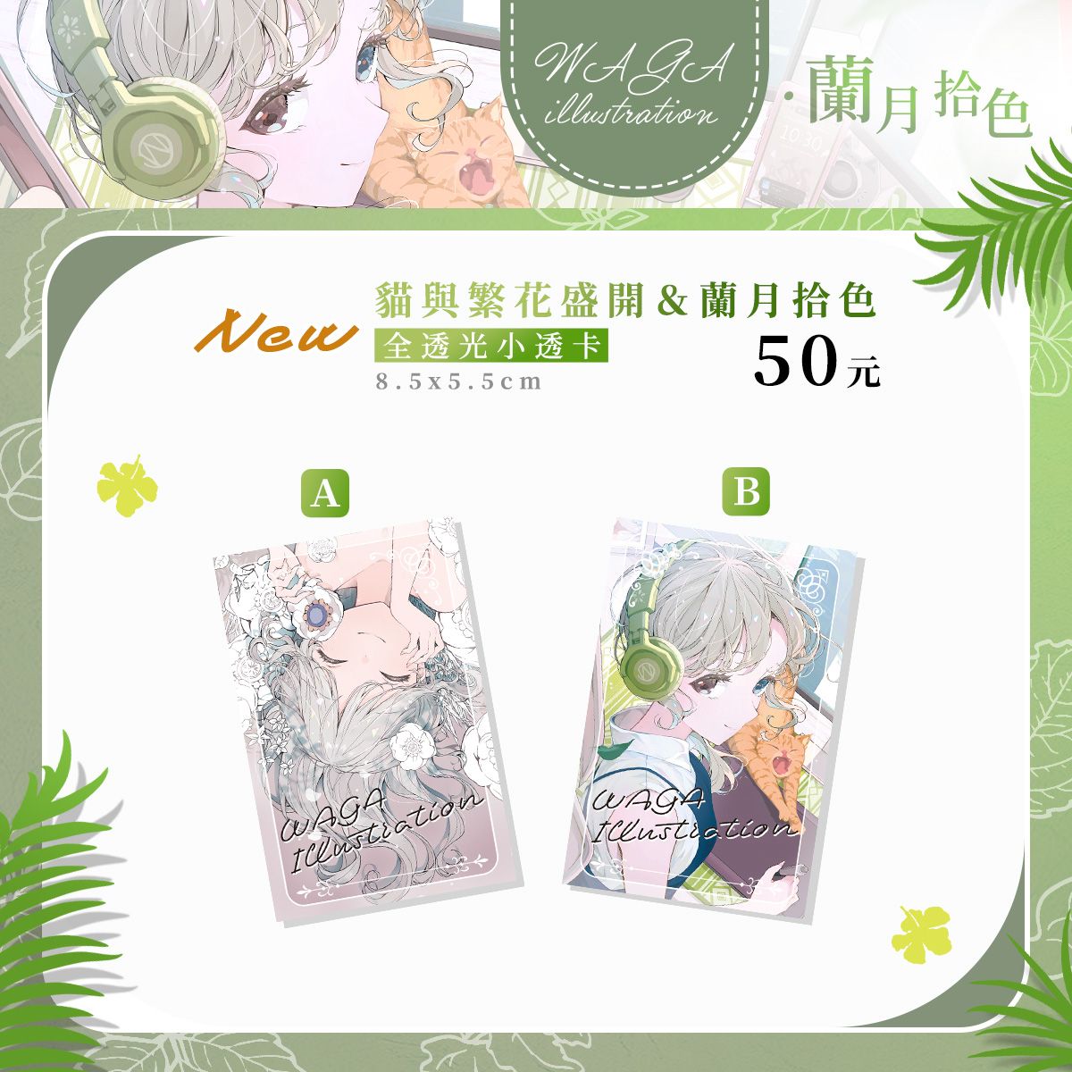 ✚﹢FF47．蘭月拾色新品﹢✚ 優雅全透光小透卡