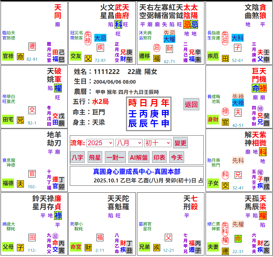 真圓AI命盤解釋（含占卜）點數購買