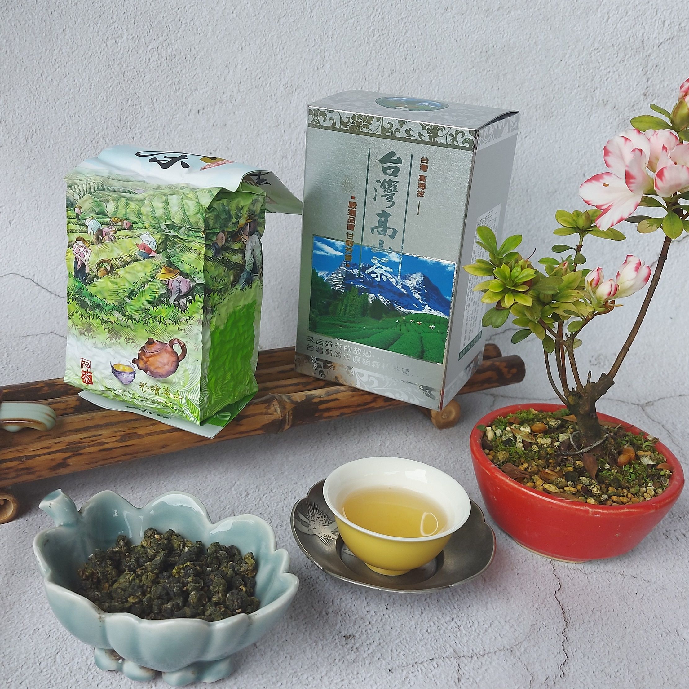 坪林「文平茶園」春茶上市 球型烏龍茶 送折盒