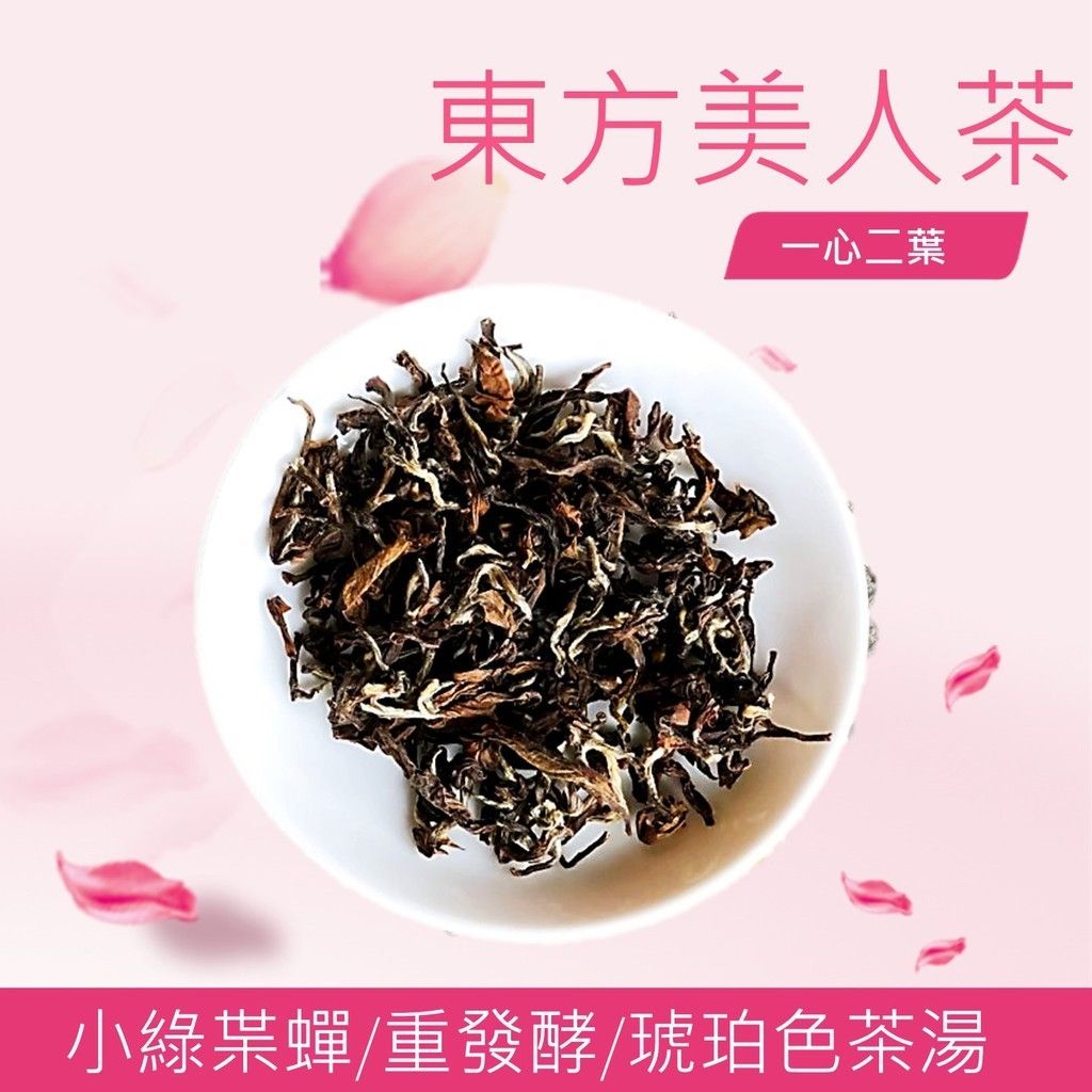 坪林 「文平茶園」 精緻東方美人茶