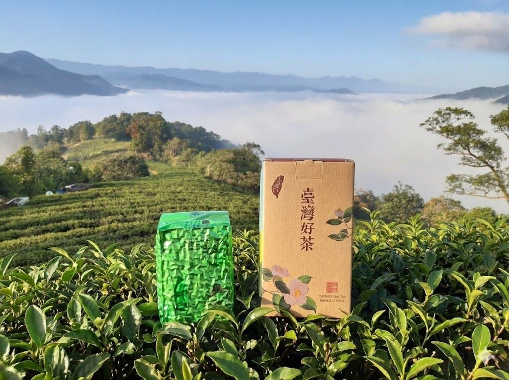 「文平茶園」113年冬茶高山烏龍茶 送折盒 茶湯清爽不苦澀