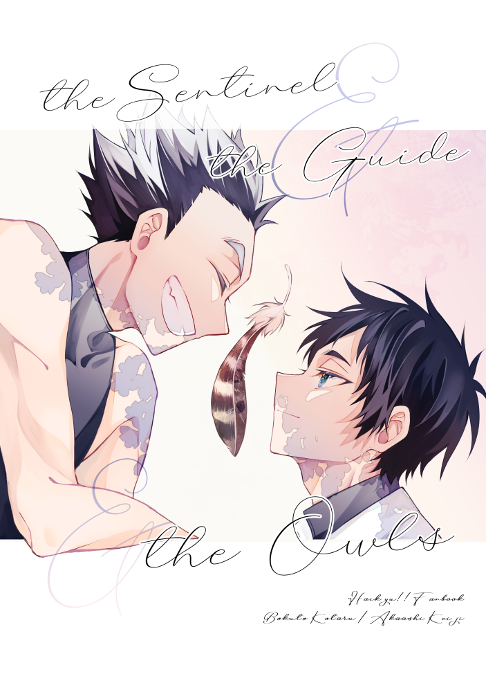 【排球‧兔赤】the Sentinel ＆ the Guide ＆ the Owls （現貨）