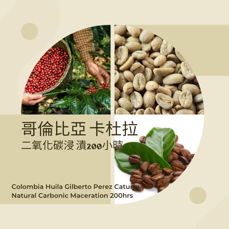 哥倫比亞 卡杜拉 日曬處理 二氧化碳浸 漬200小時