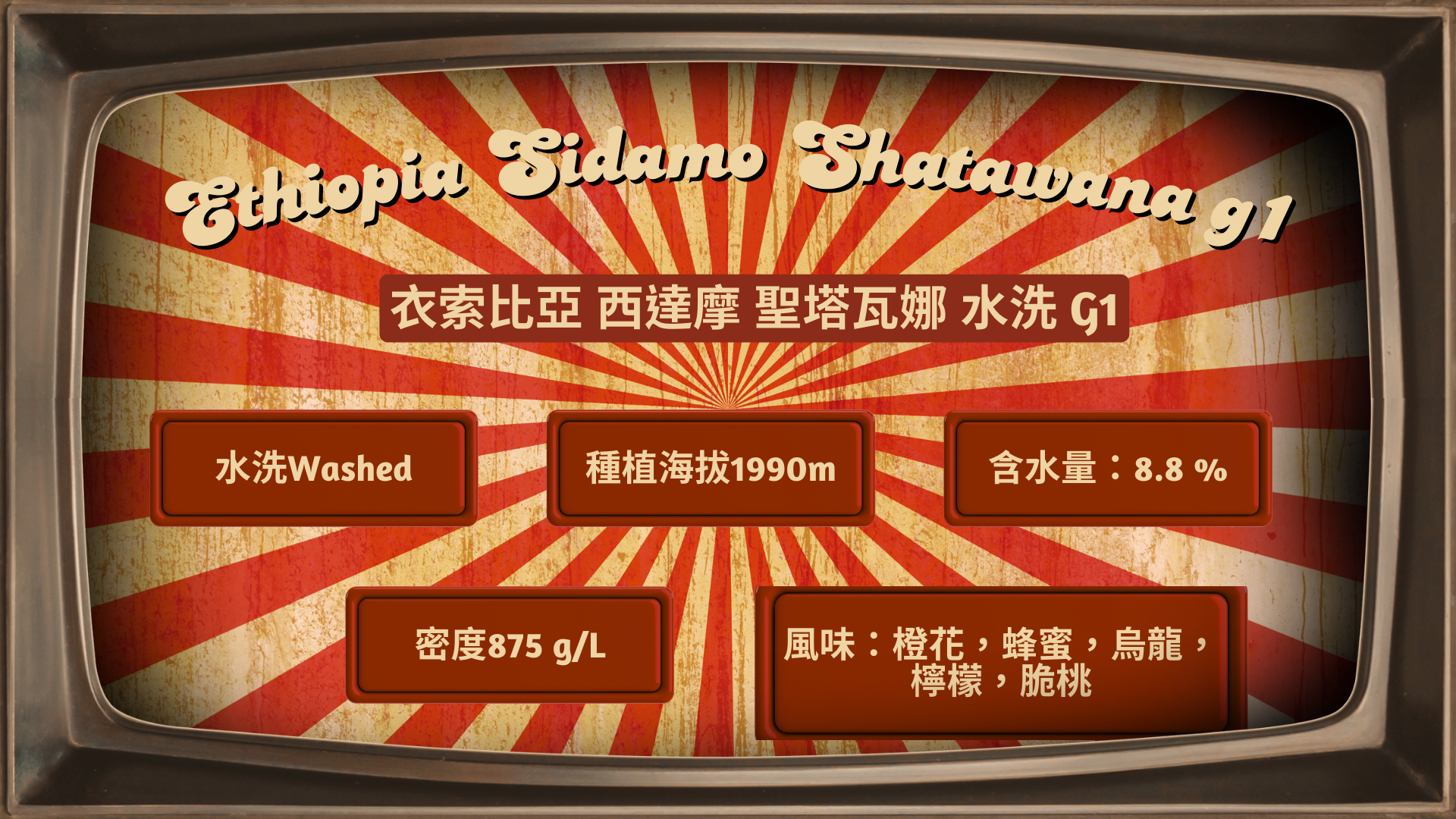 第5場 指定賽豆追加 衣索比亞 水洗