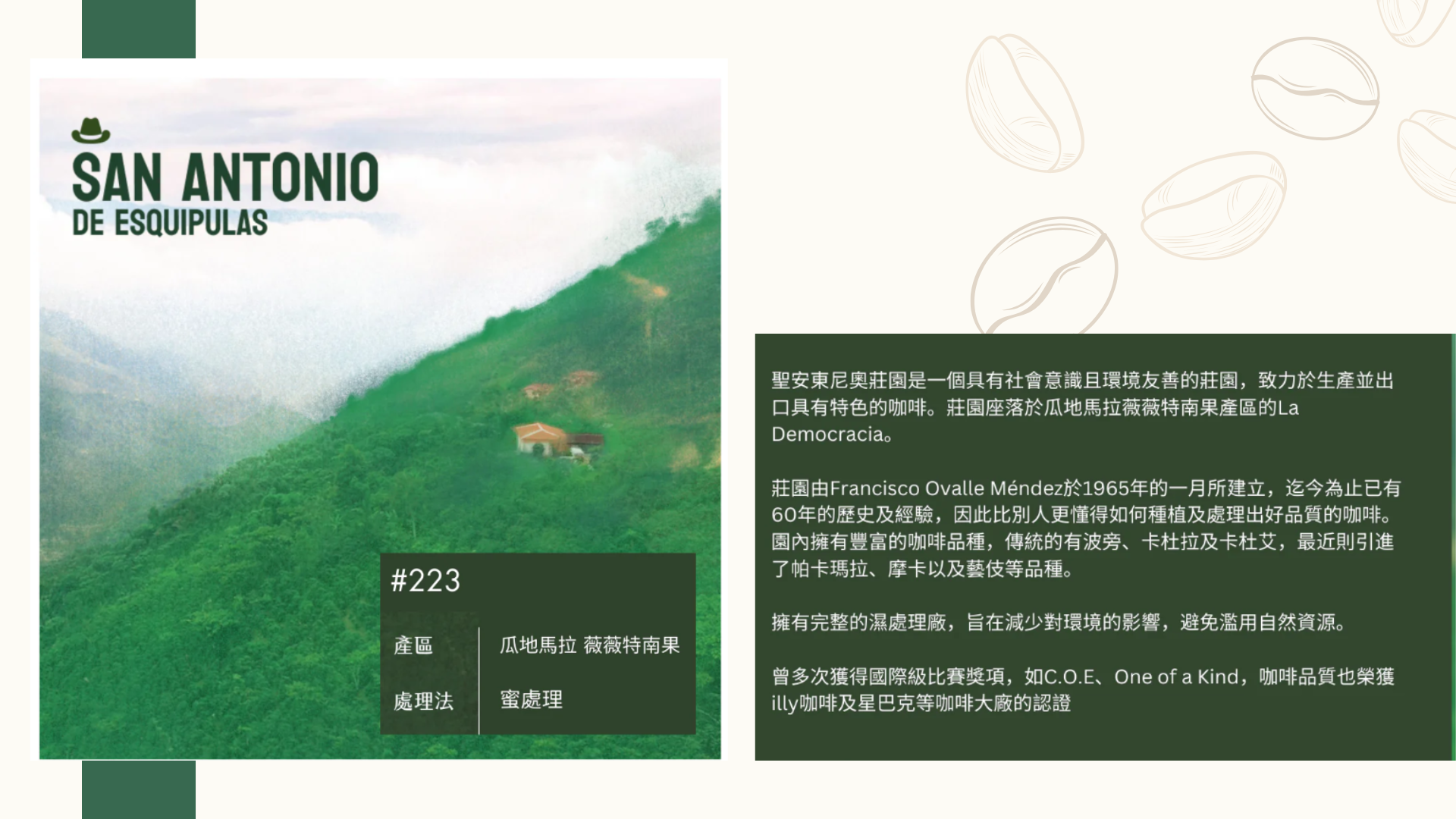 2025  10月 第9場 指定賽豆