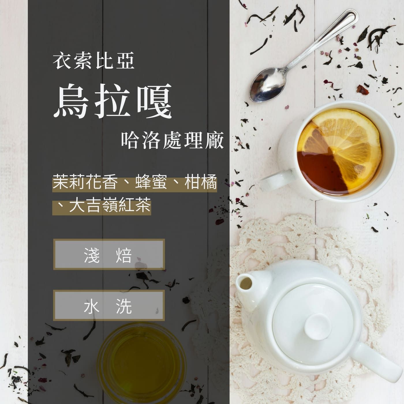衣索比亞  水洗  古吉  烏拉嘎   哈洛處理廠   G1