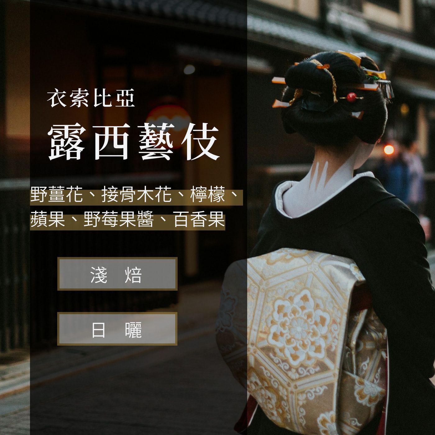 露西藝伎  日曬  頂級