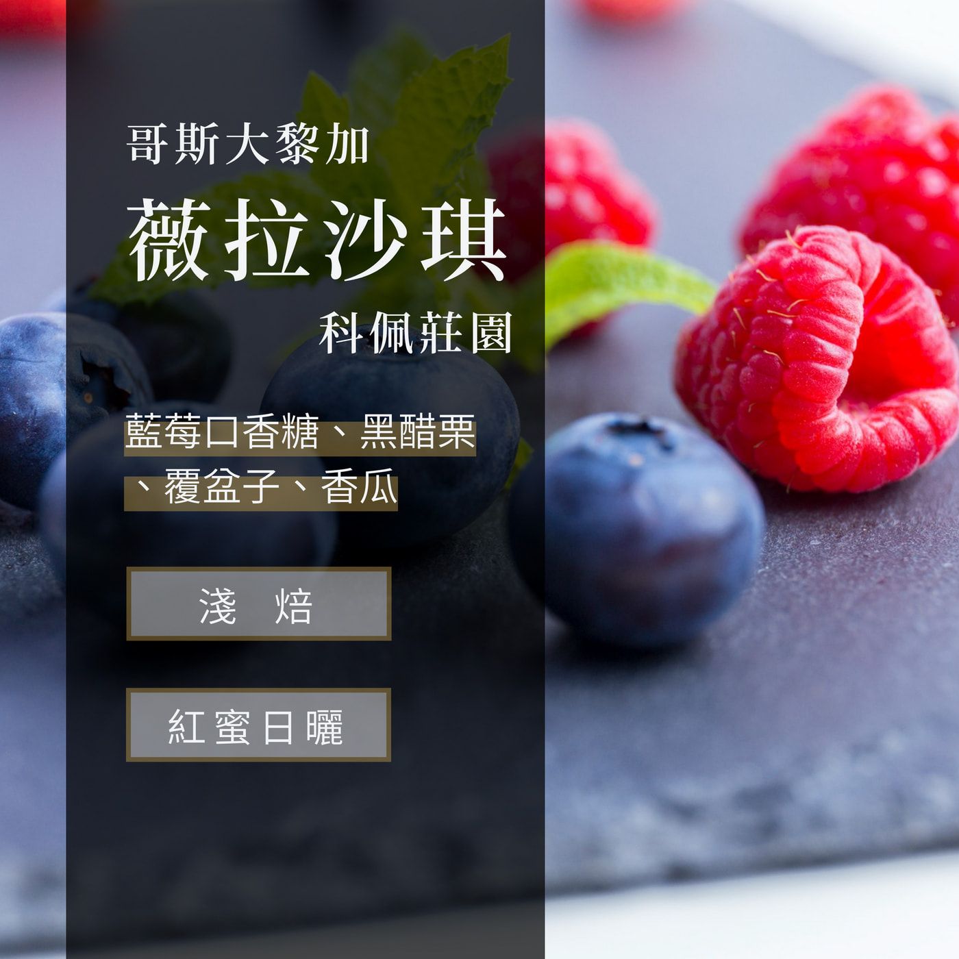 哥斯大黎加 科佩莊園 紅蜜日曬 薇拉沙琪種