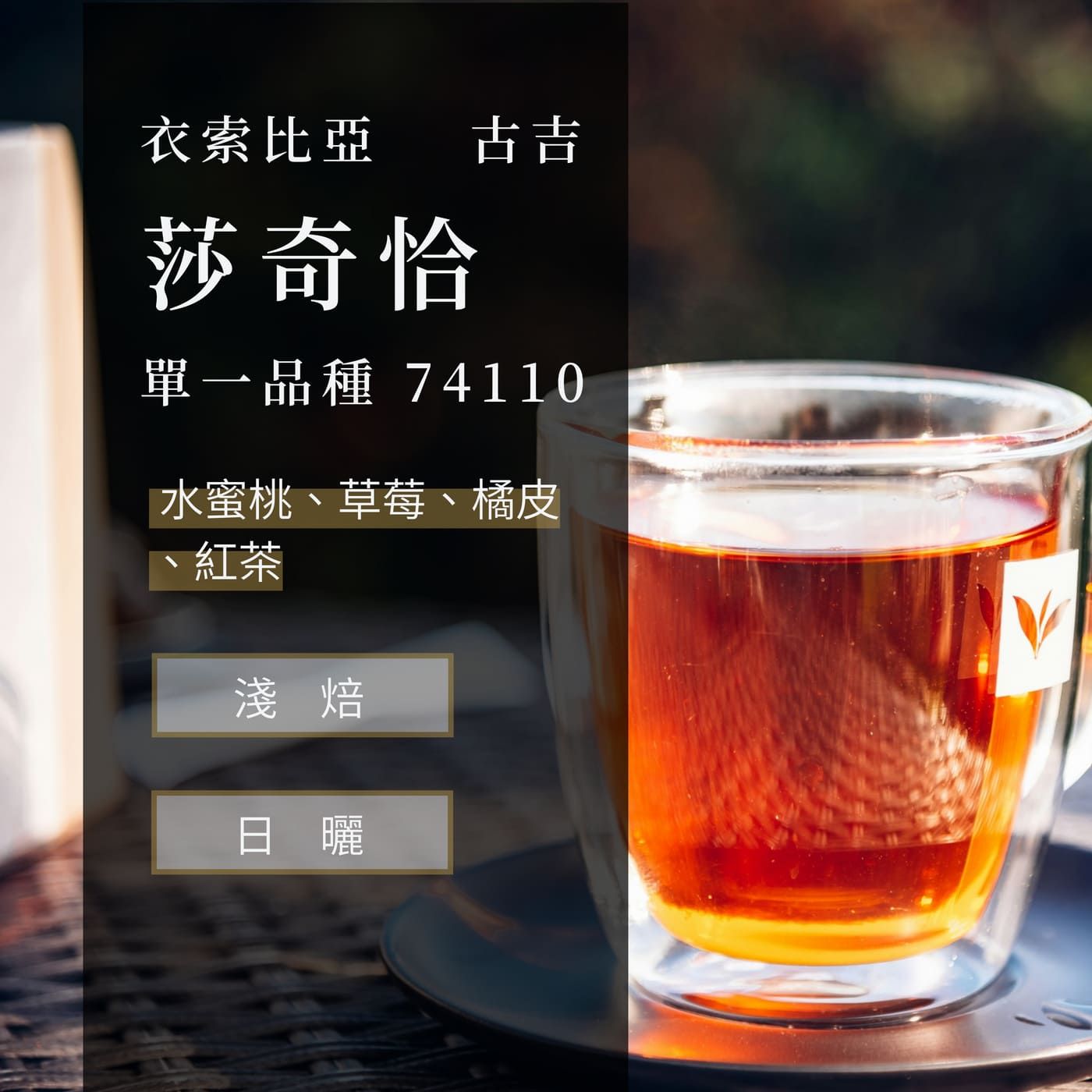 古吉 莎奇恰 日曬 74110 G1