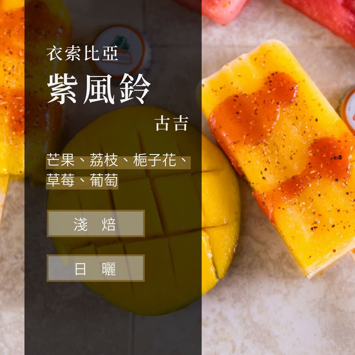 衣索比亞 日曬 古吉 塔莎亞/紫風鈴