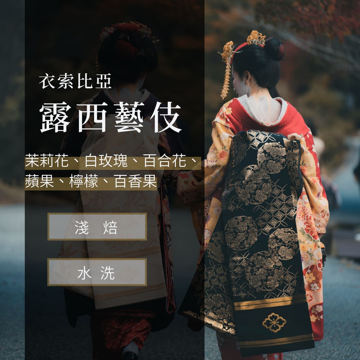 露西藝伎 水洗 頂級 G1