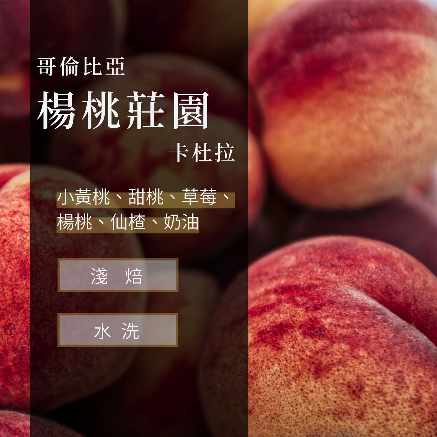 哥倫比亞 楊桃莊園 卡杜拉 水洗處理