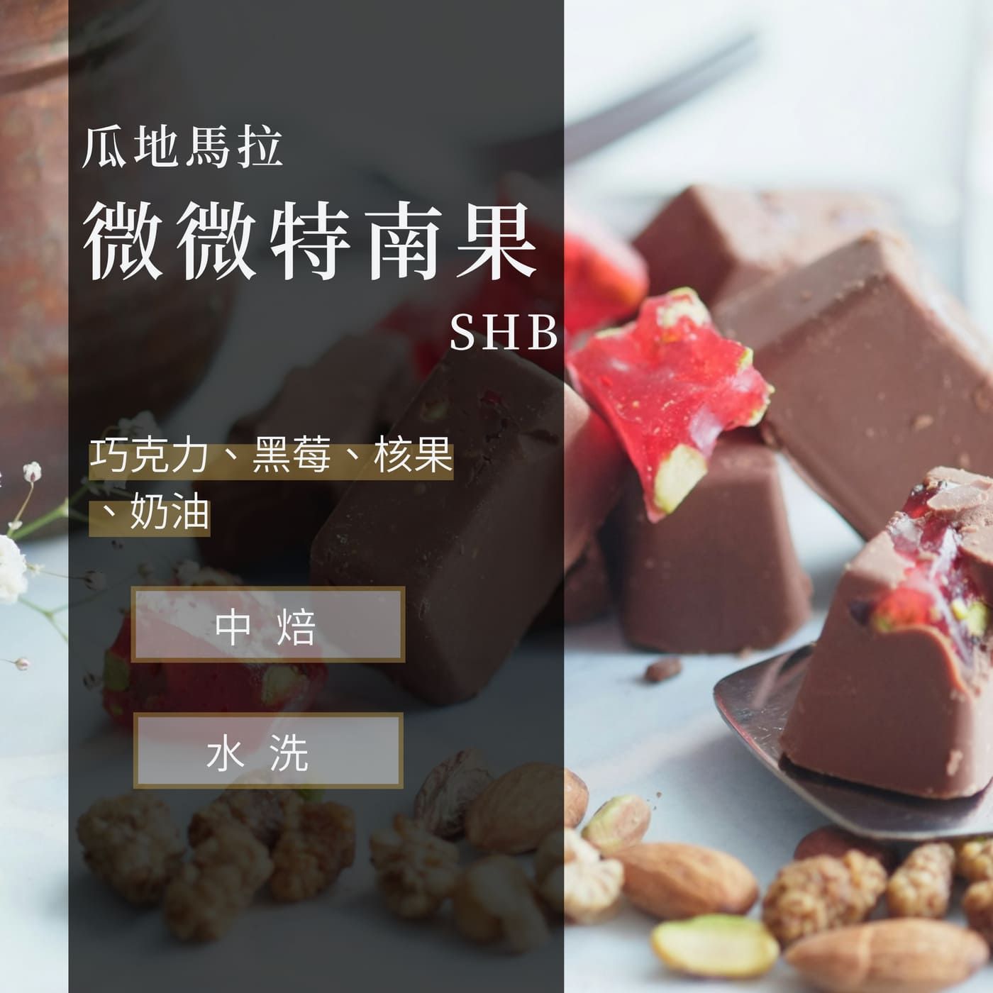 瓜地馬拉 微微特南果 SHB 歐規特選