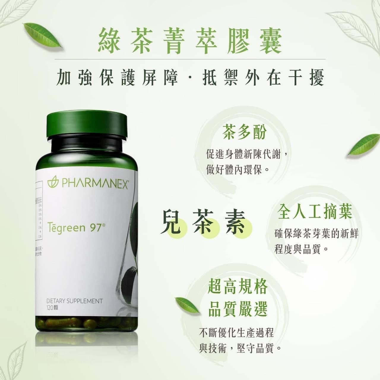 小肚綠茶精萃膠囊