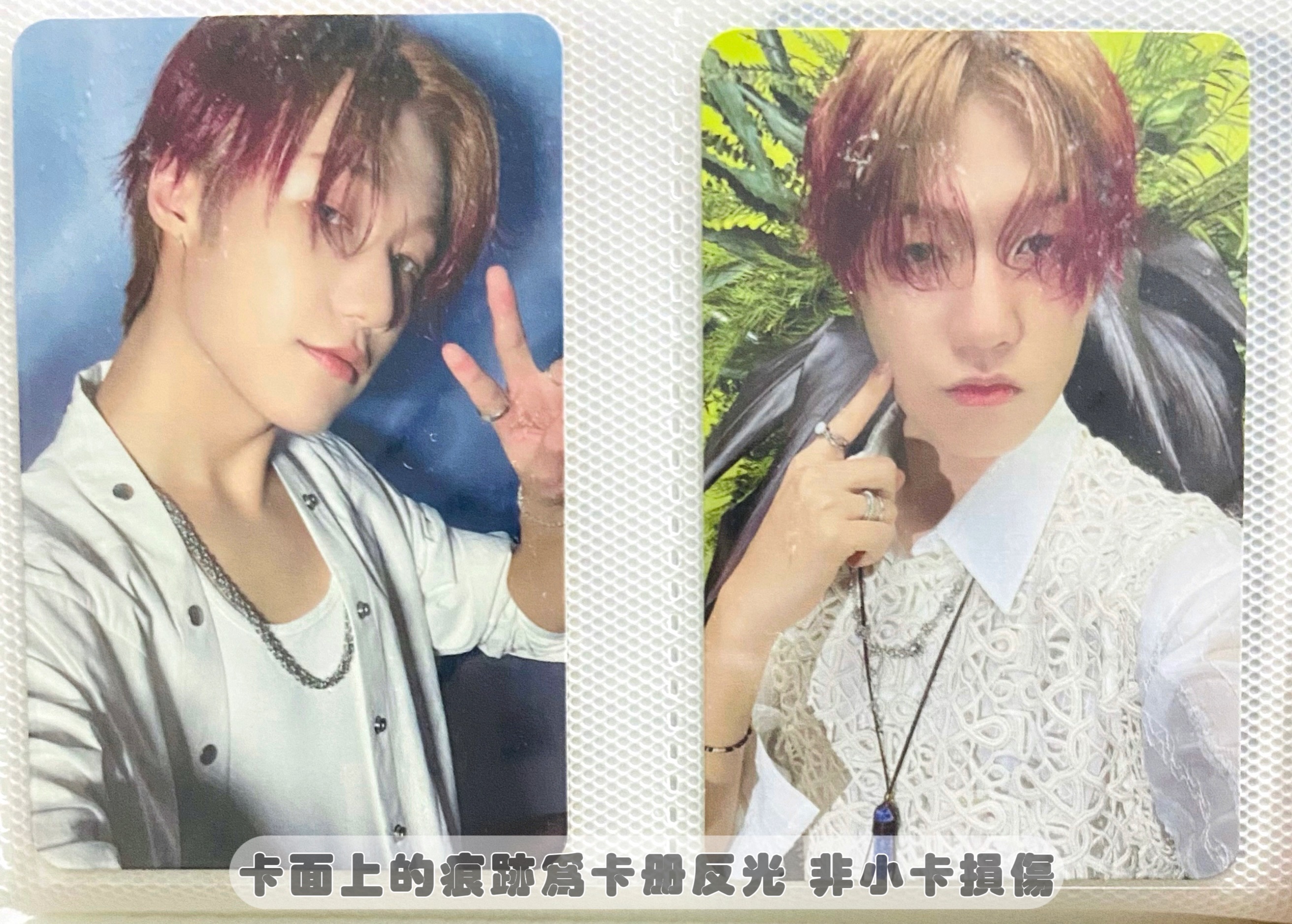 迷六 鐘燮專卡