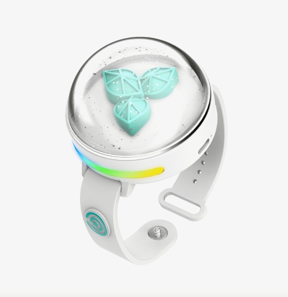 Day6 三代官方應援手燈 手燈錶