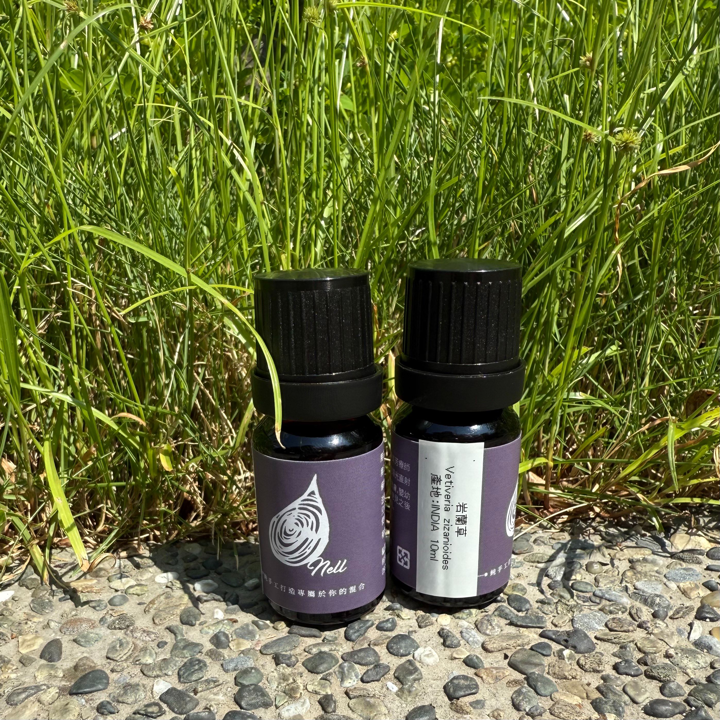 印度岩蘭草（預購）