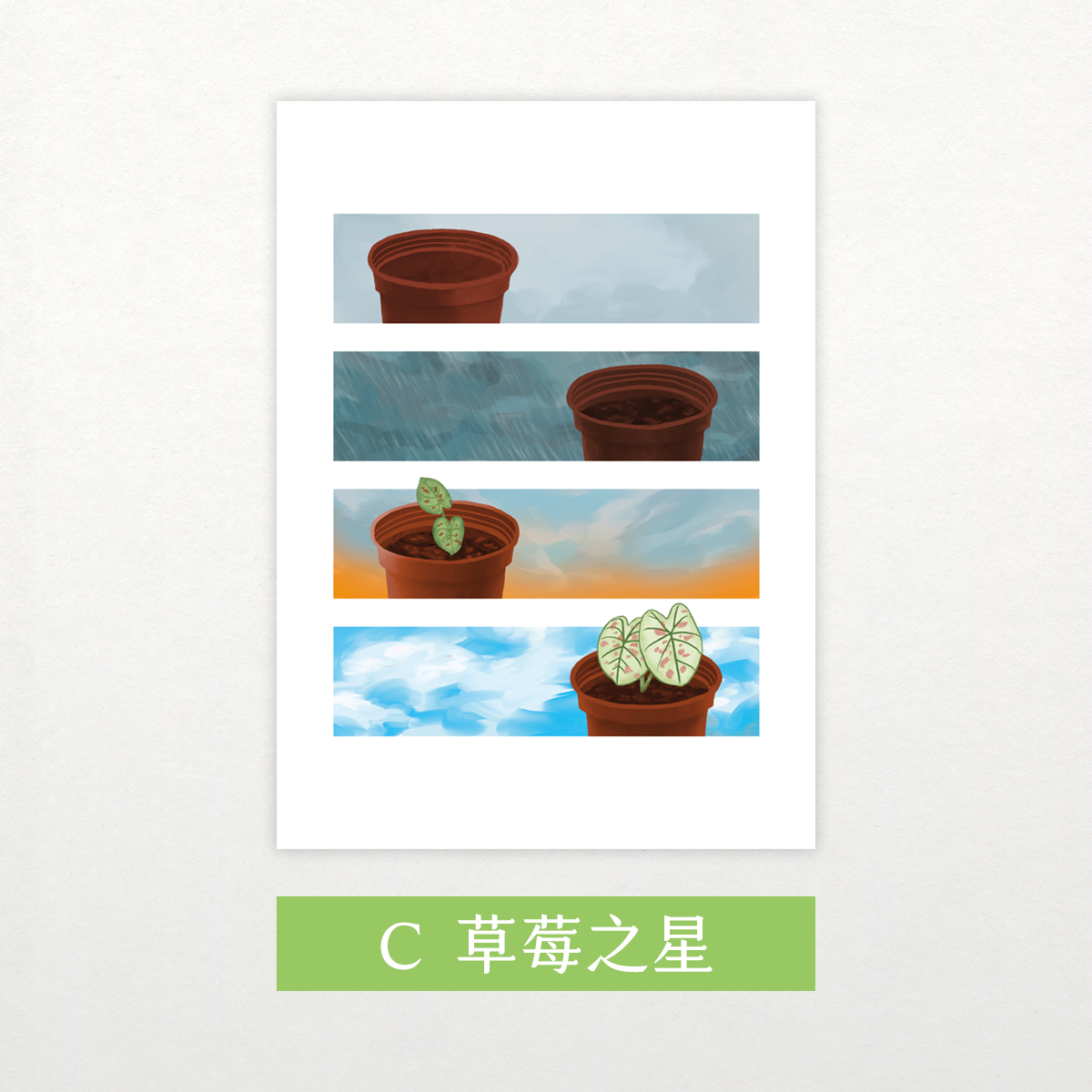 觀葉植物插畫明信片【Ｃ】草莓之星