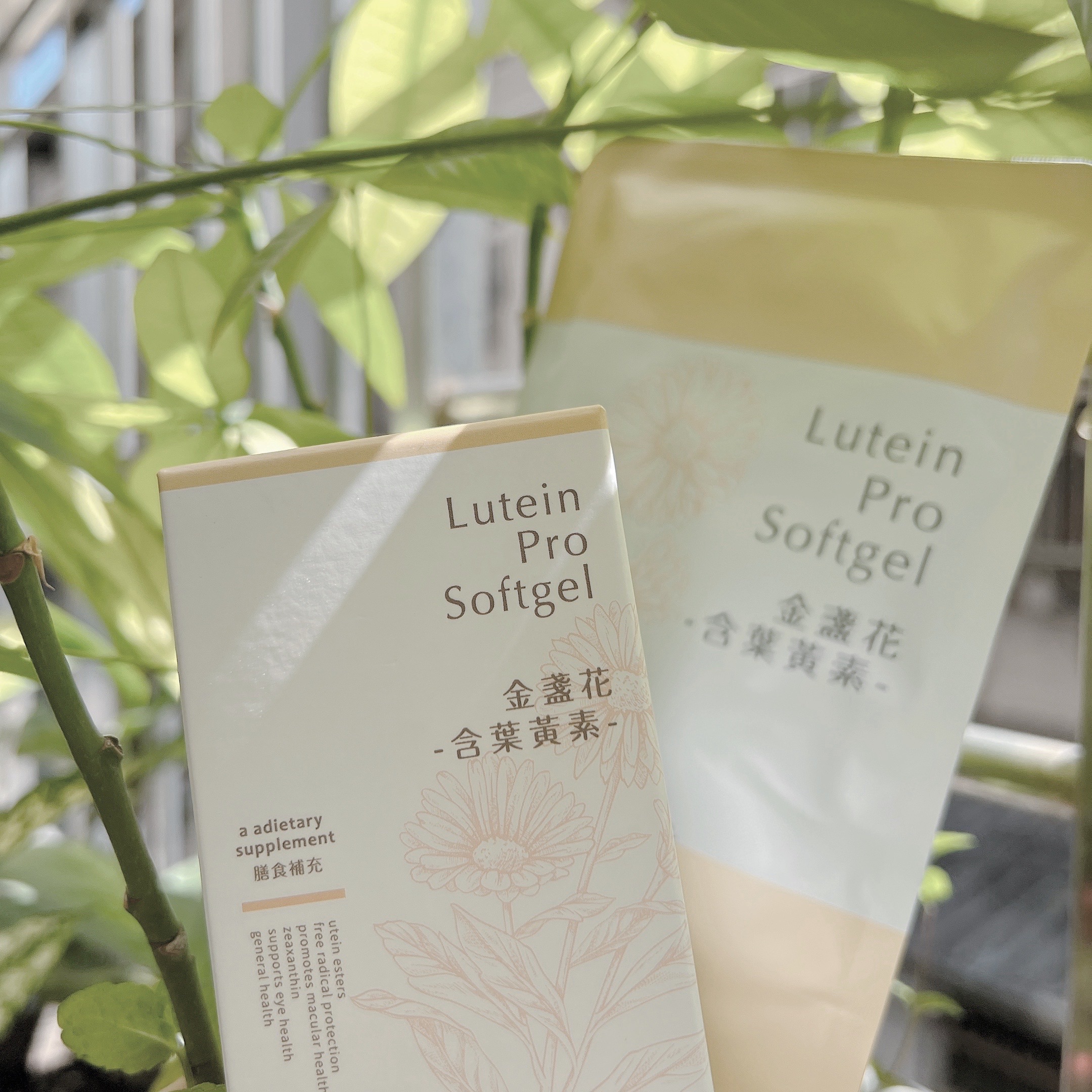 金盞花（含葉黃素）