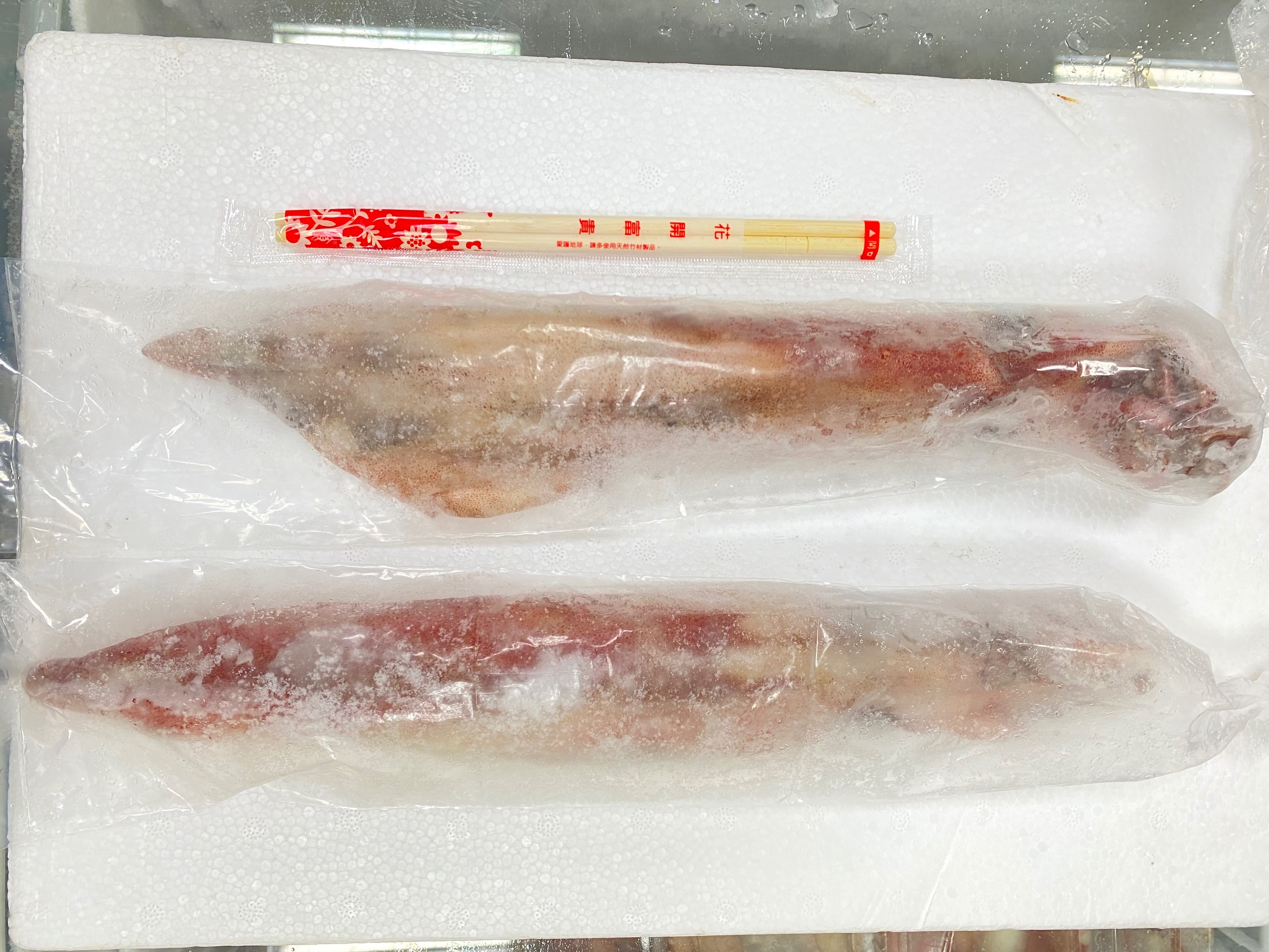 台灣手釣透抽