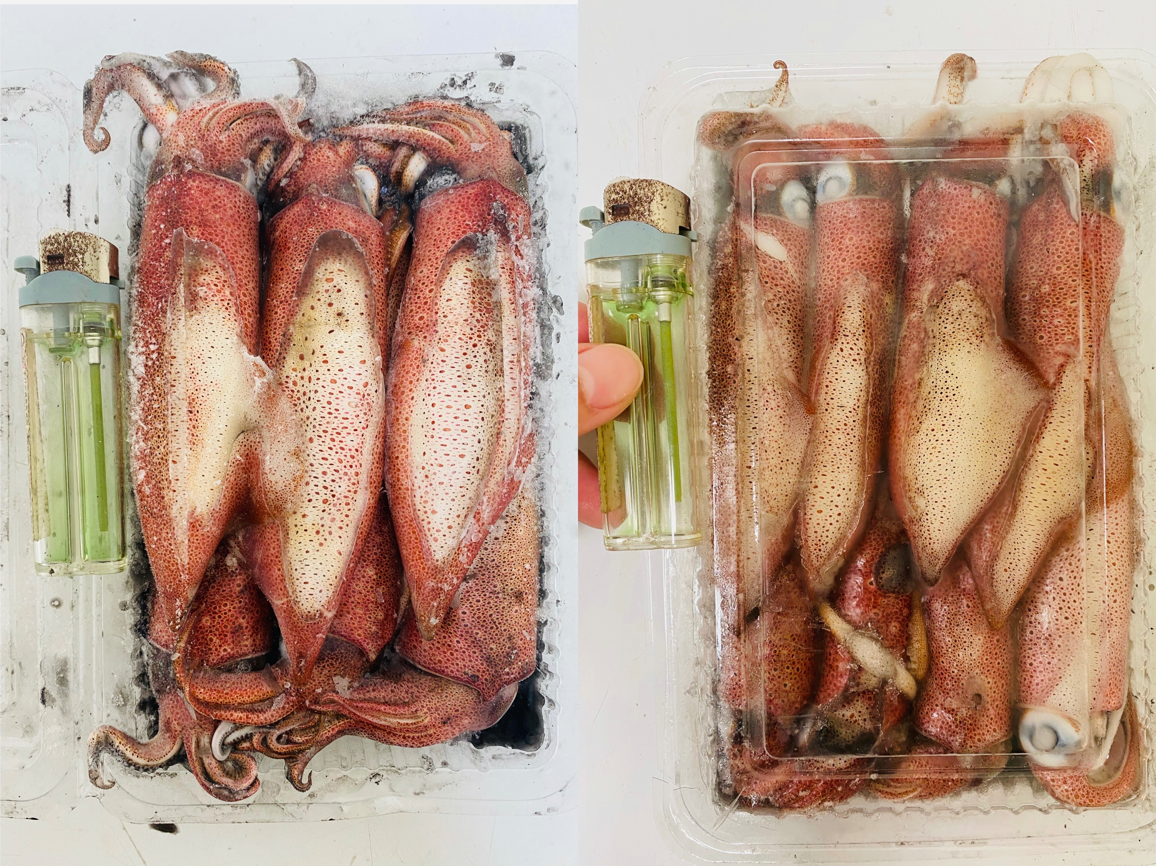 二排便當盒小卷