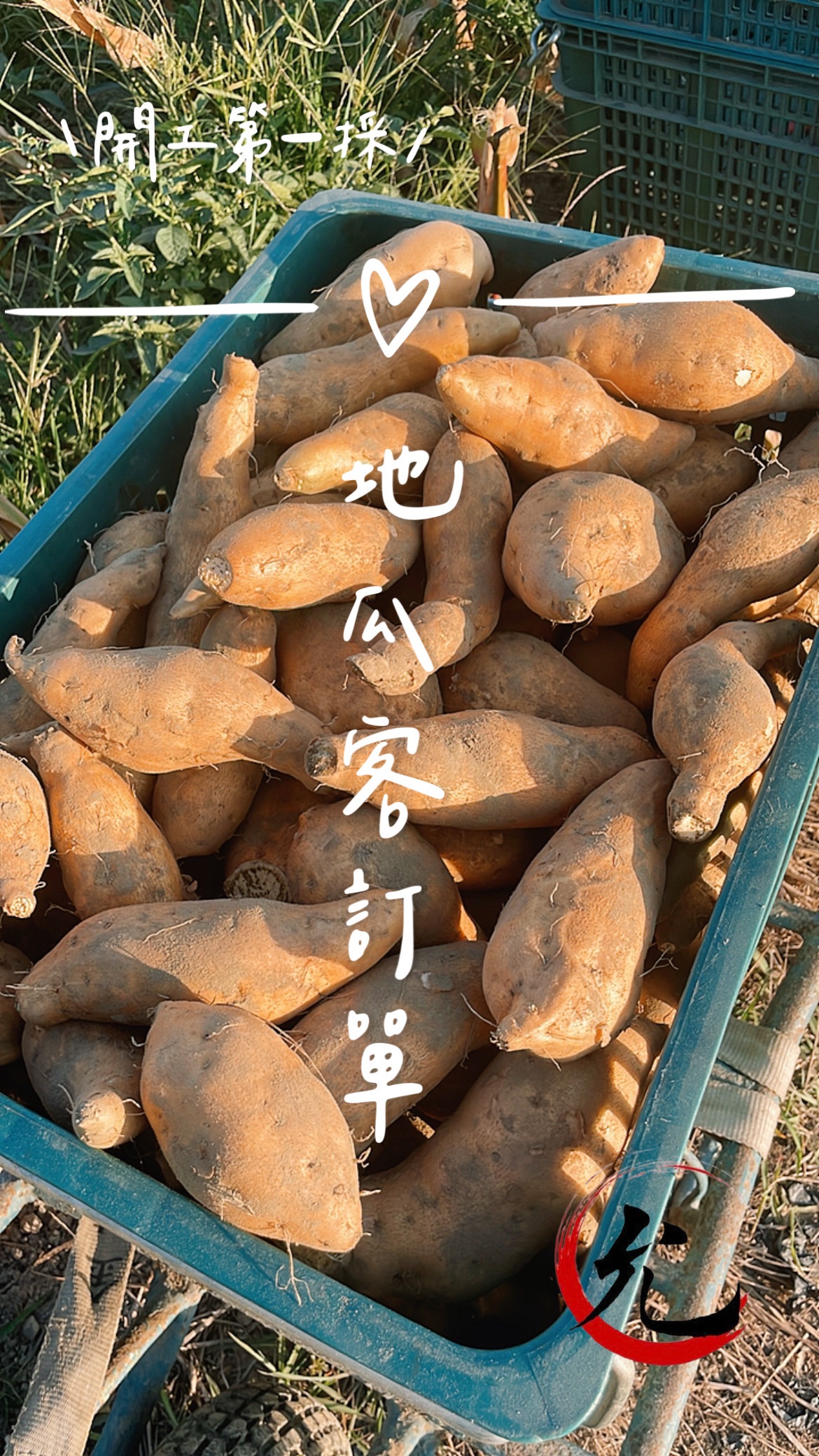 圖片 11