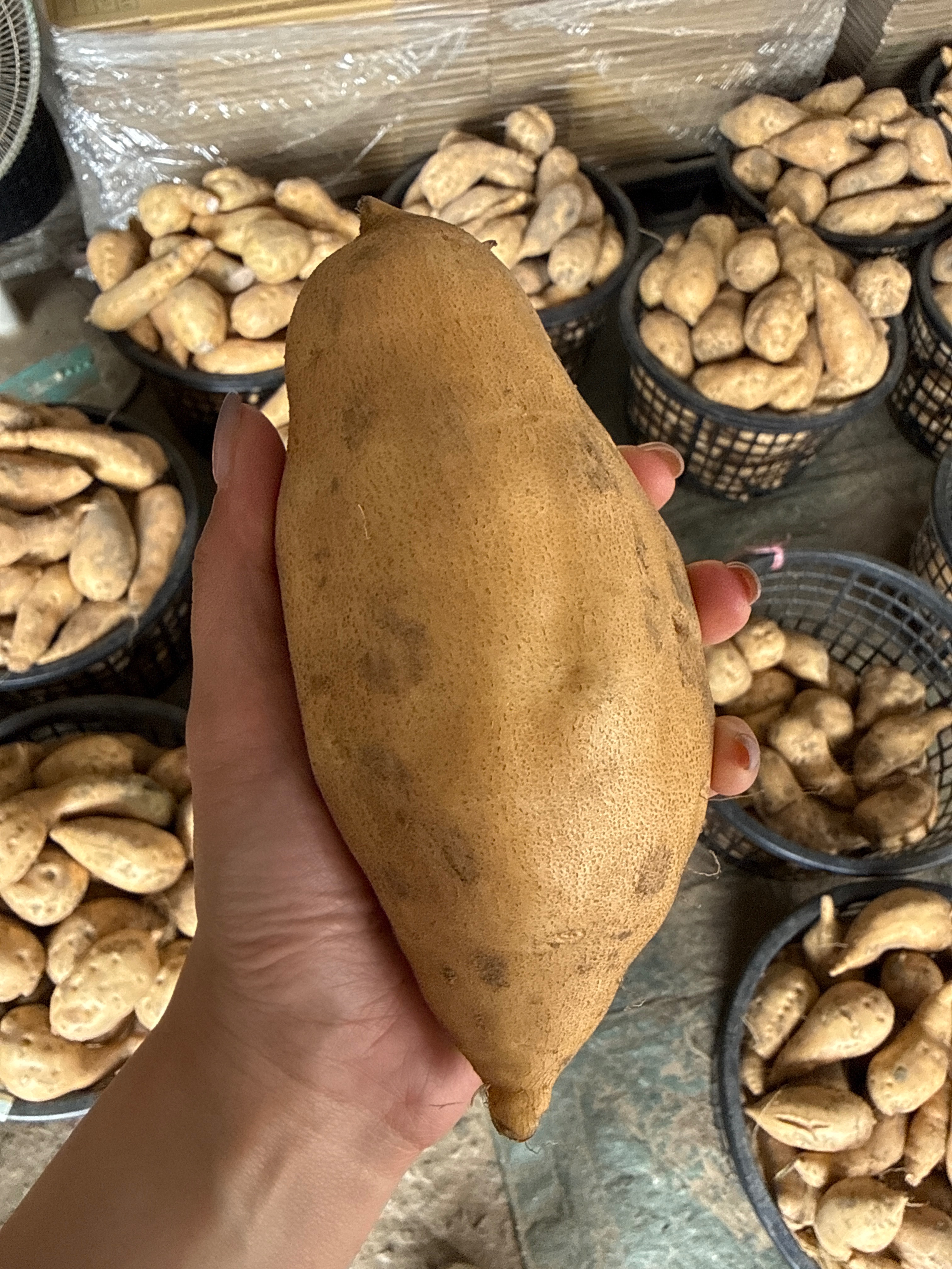 圖片 15
