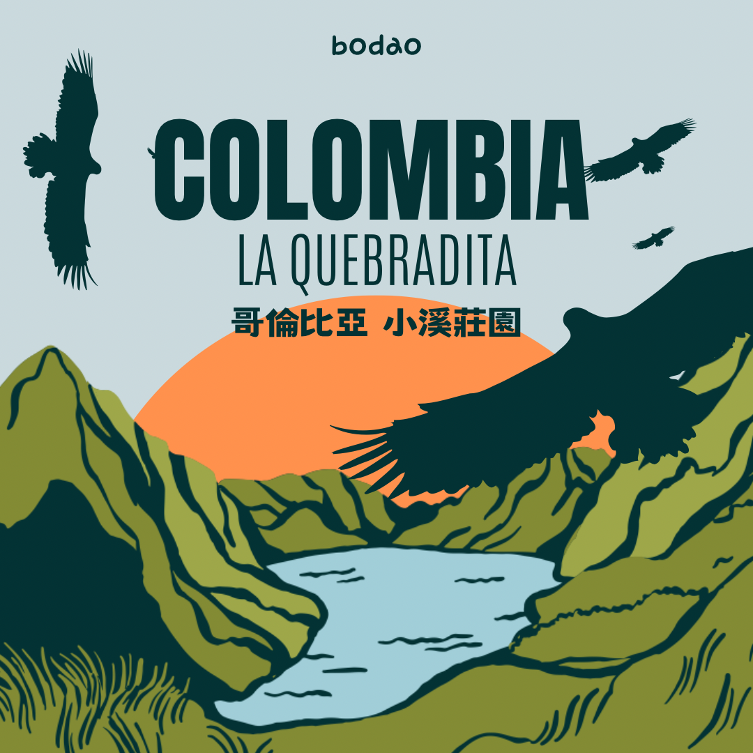 哥倫比亞  藝妓