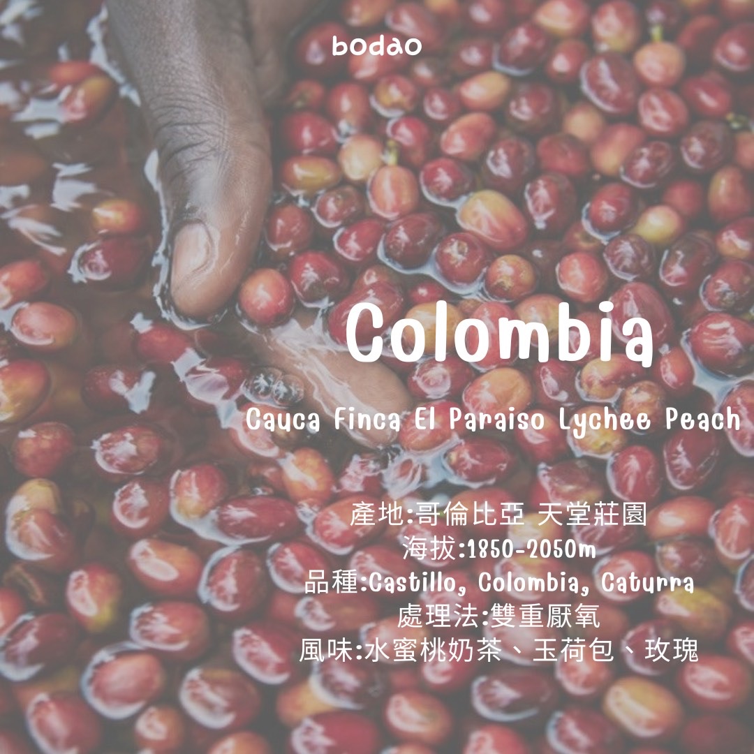 哥倫比亞 4月新品