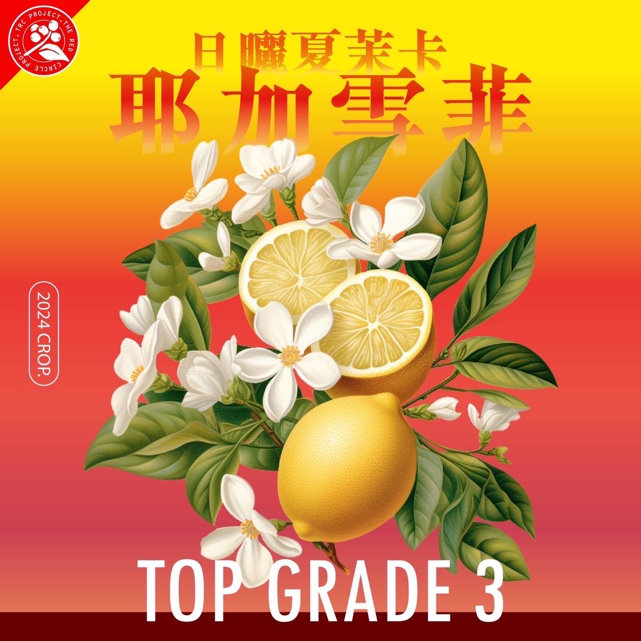 衣索比亞 日曬  夏茉卡 G3