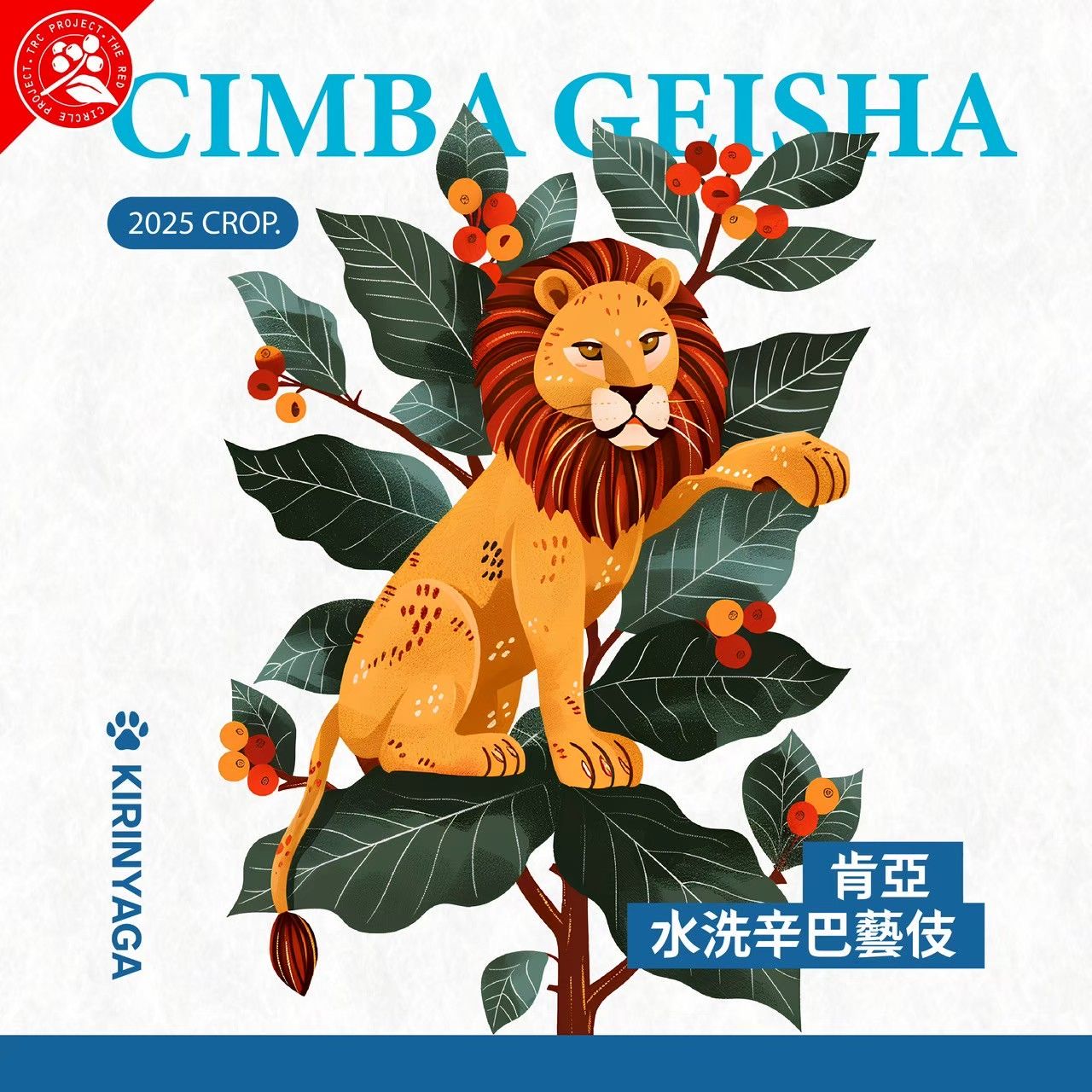 肯亞-水洗 辛巴藝伎 （淺焙） 產地回饋紅圈計劃