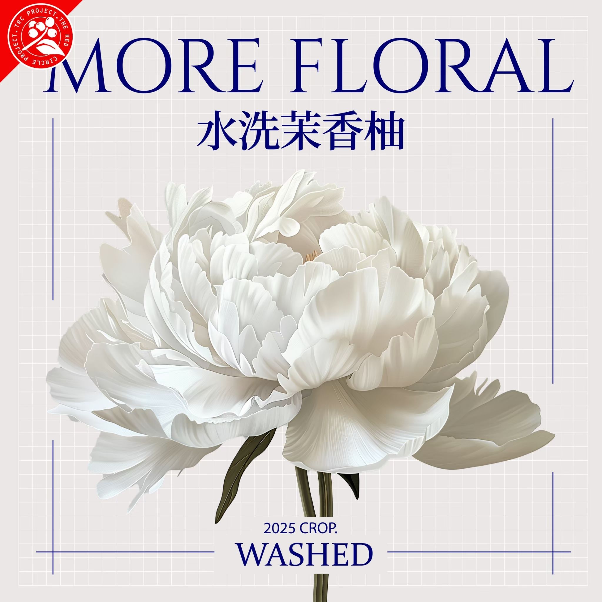 衣索比亞-水洗 茉香柚 （淺焙） 產地回饋紅圈計劃