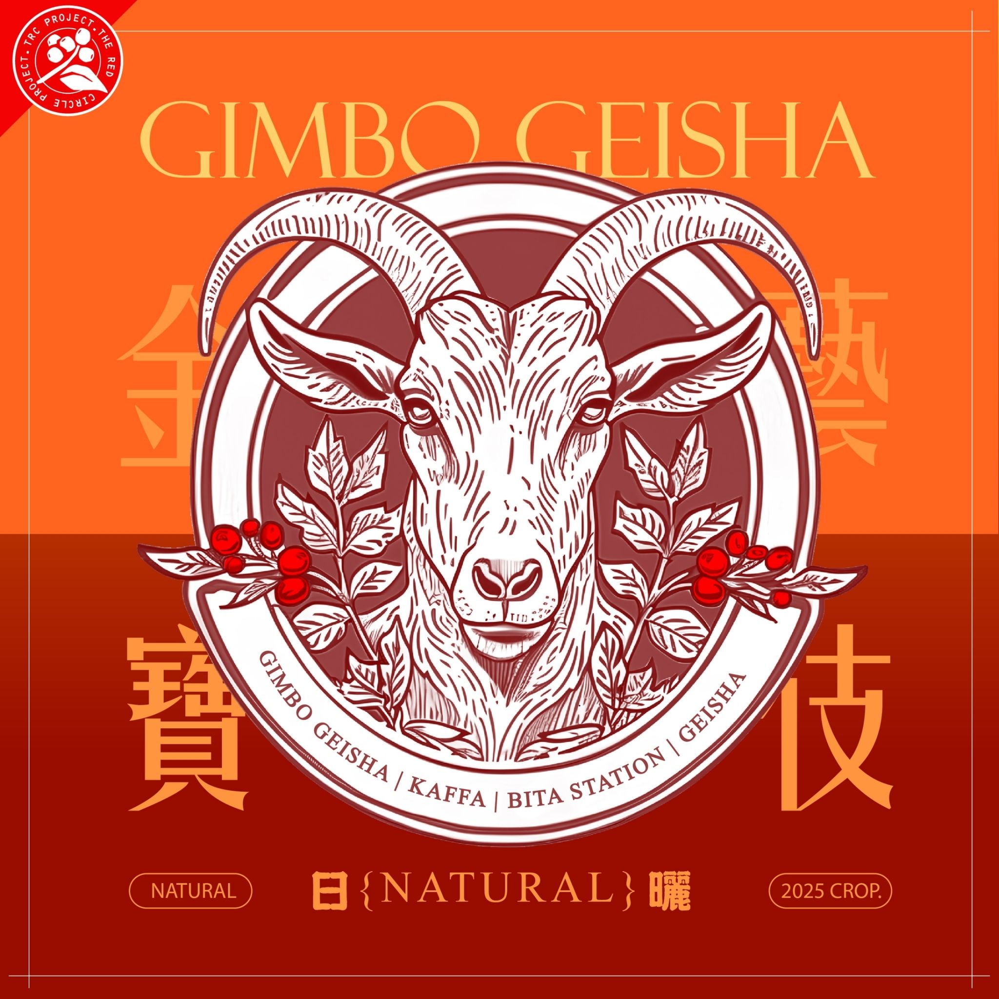 衣索比亞-日曬   金寶藝伎 （淺焙）   7月新推出