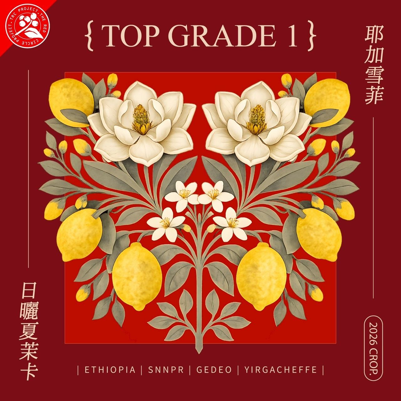 衣索比亞-日曬處理  夏茉卡 （淺焙）即將推出