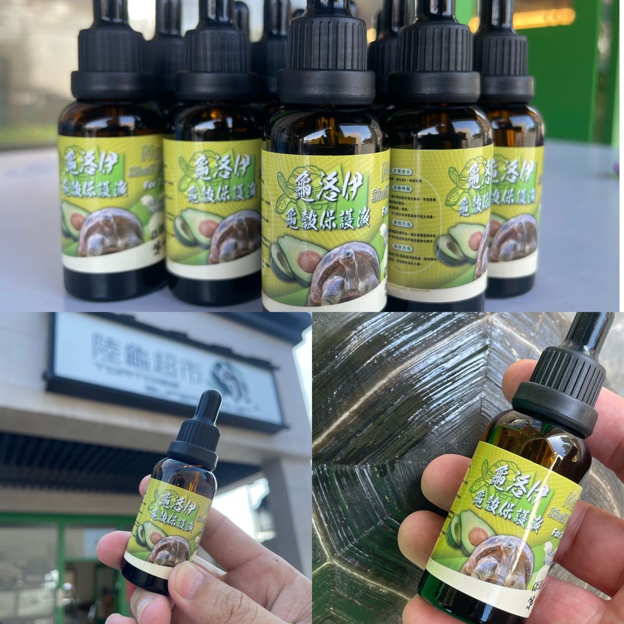 龜洛伊龜殼保護