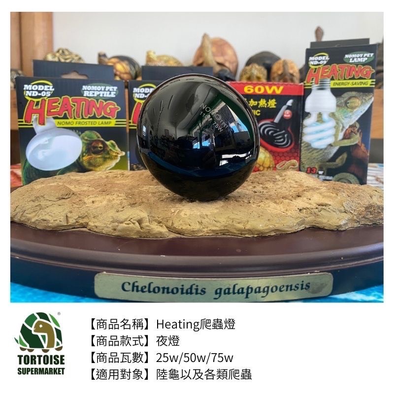 加熱燈/UVB
