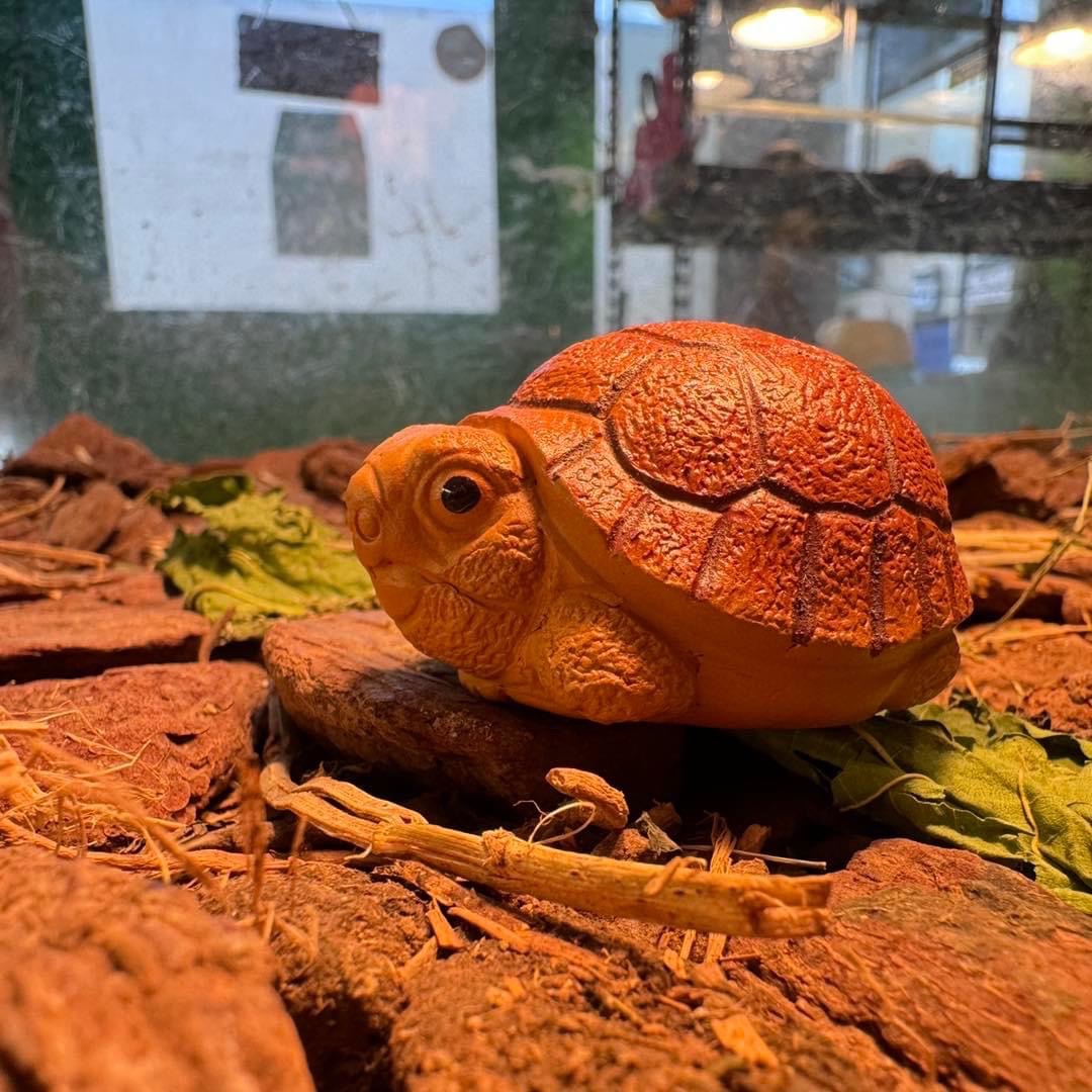 陶瓷可愛陶瓷蘇卡達茶寵