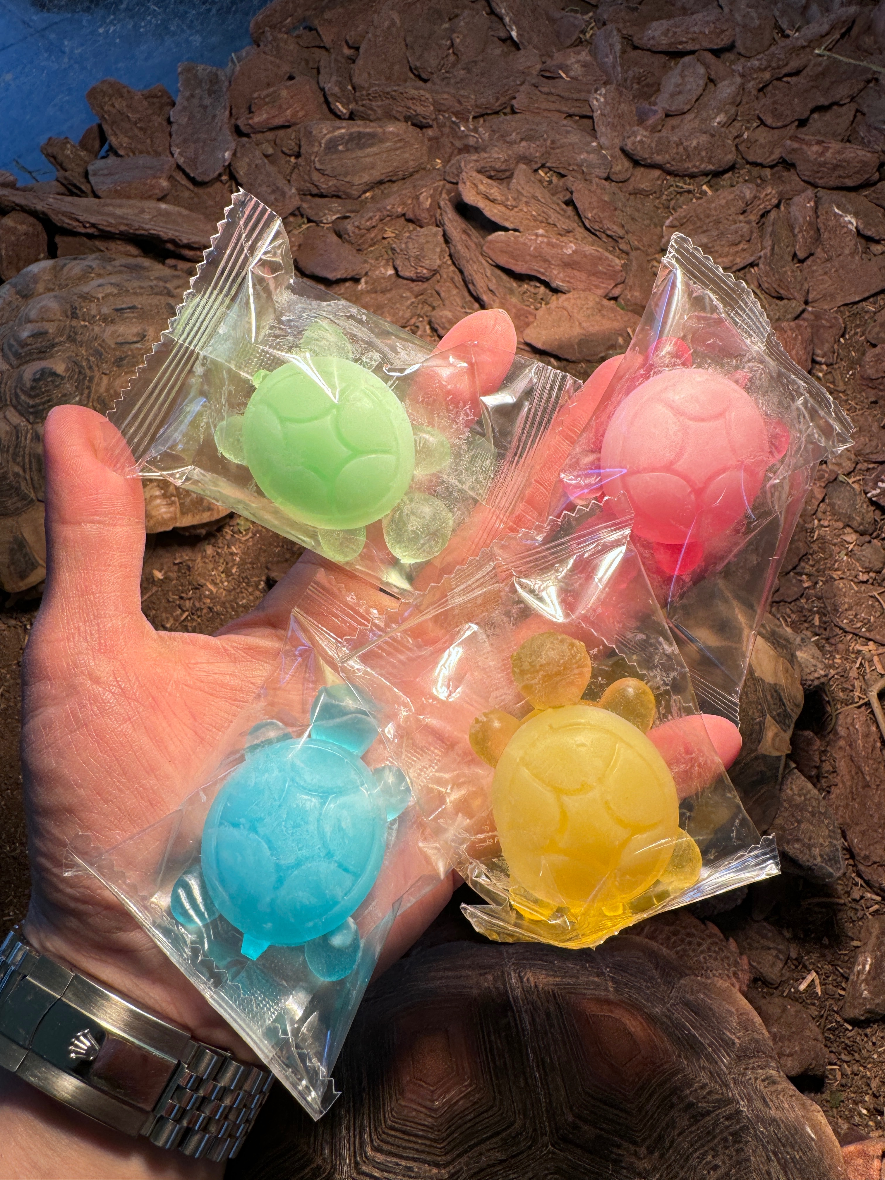 小香龜造型肥皂