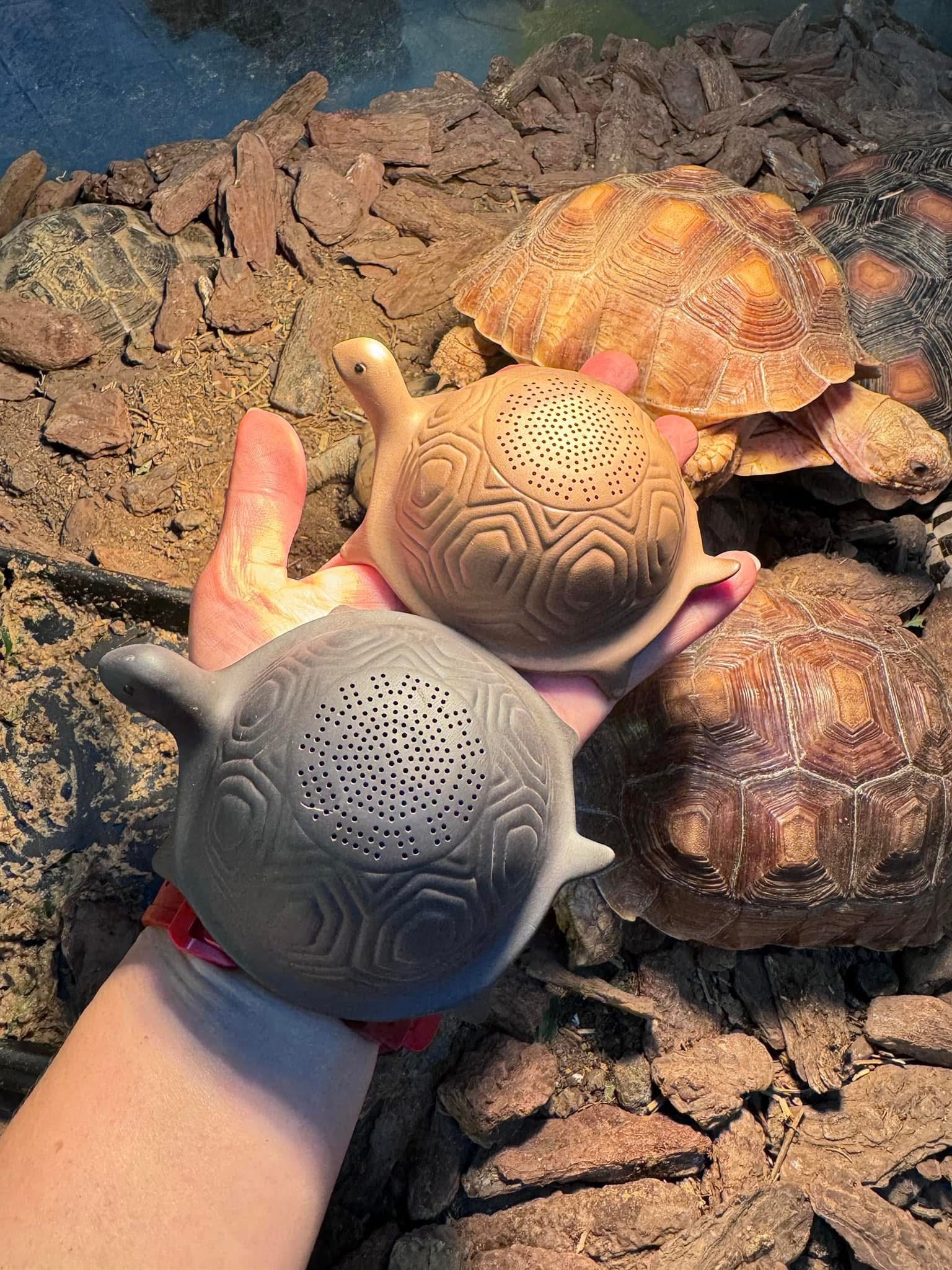 紫砂長壽龜茶濾